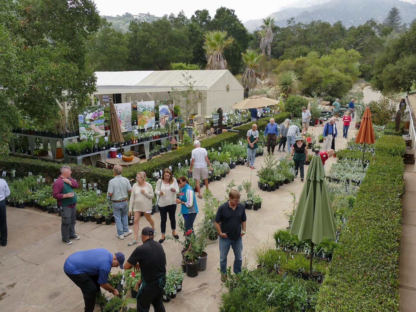 Fall Plant Sale 2018 Preview Party