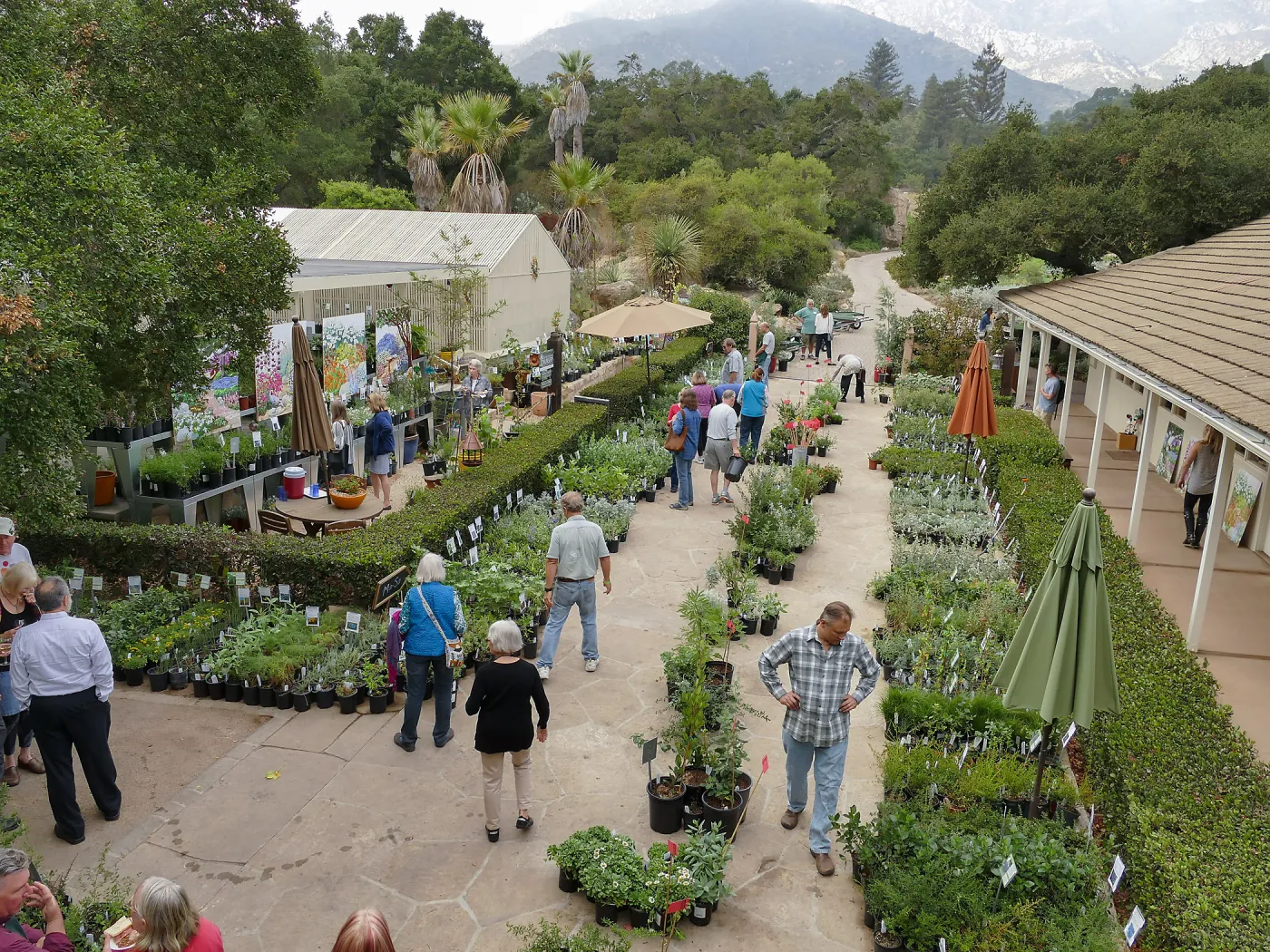 Fall Plant Sale 2018 Preview Party