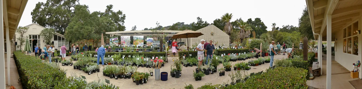 Fall Plant Sale 2018 Preview Party