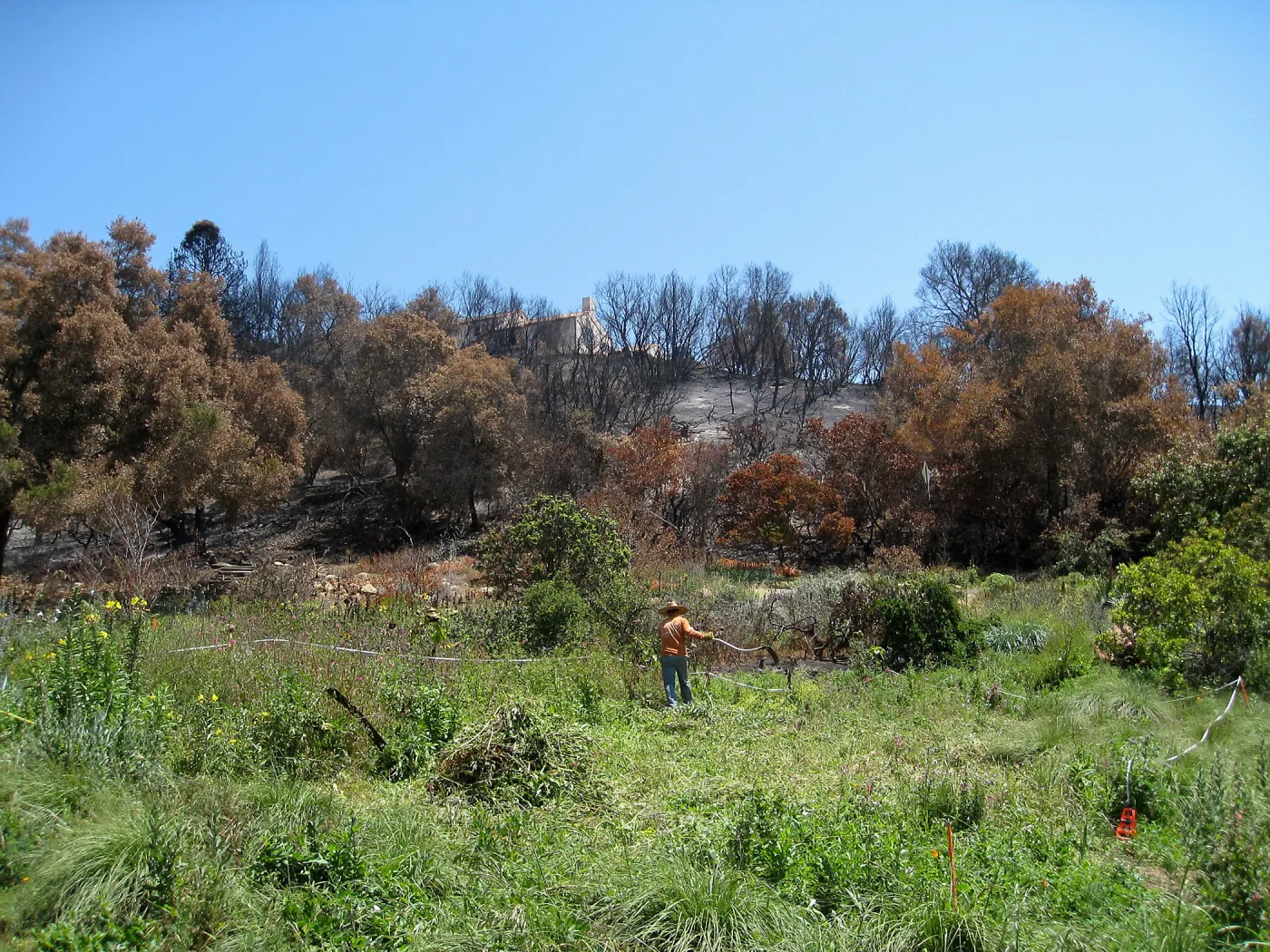 Construction of Herb Parker's â€˜Haven' labyrinth, clearing site in Meadow