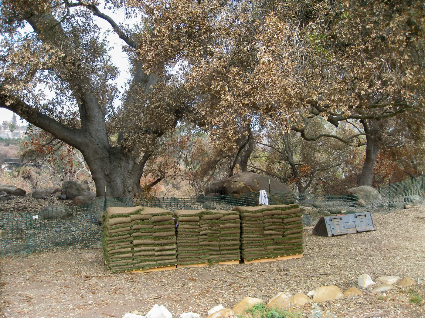 Construction of Herb Parker's â€˜Haven' labyrinth, sod for roof