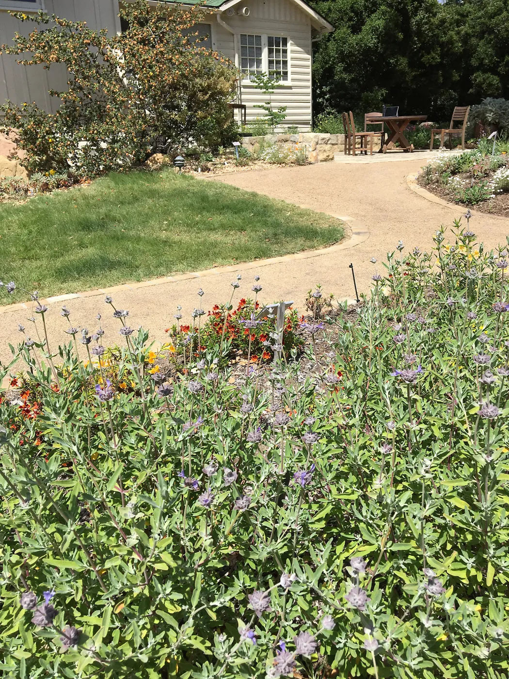 Water Wise Home Garden