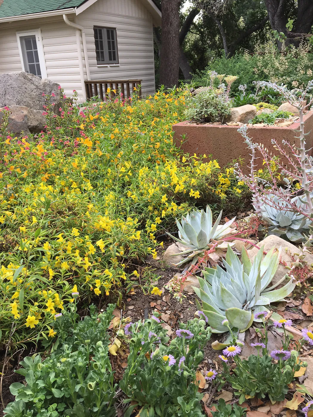 Water Wise Home Garden