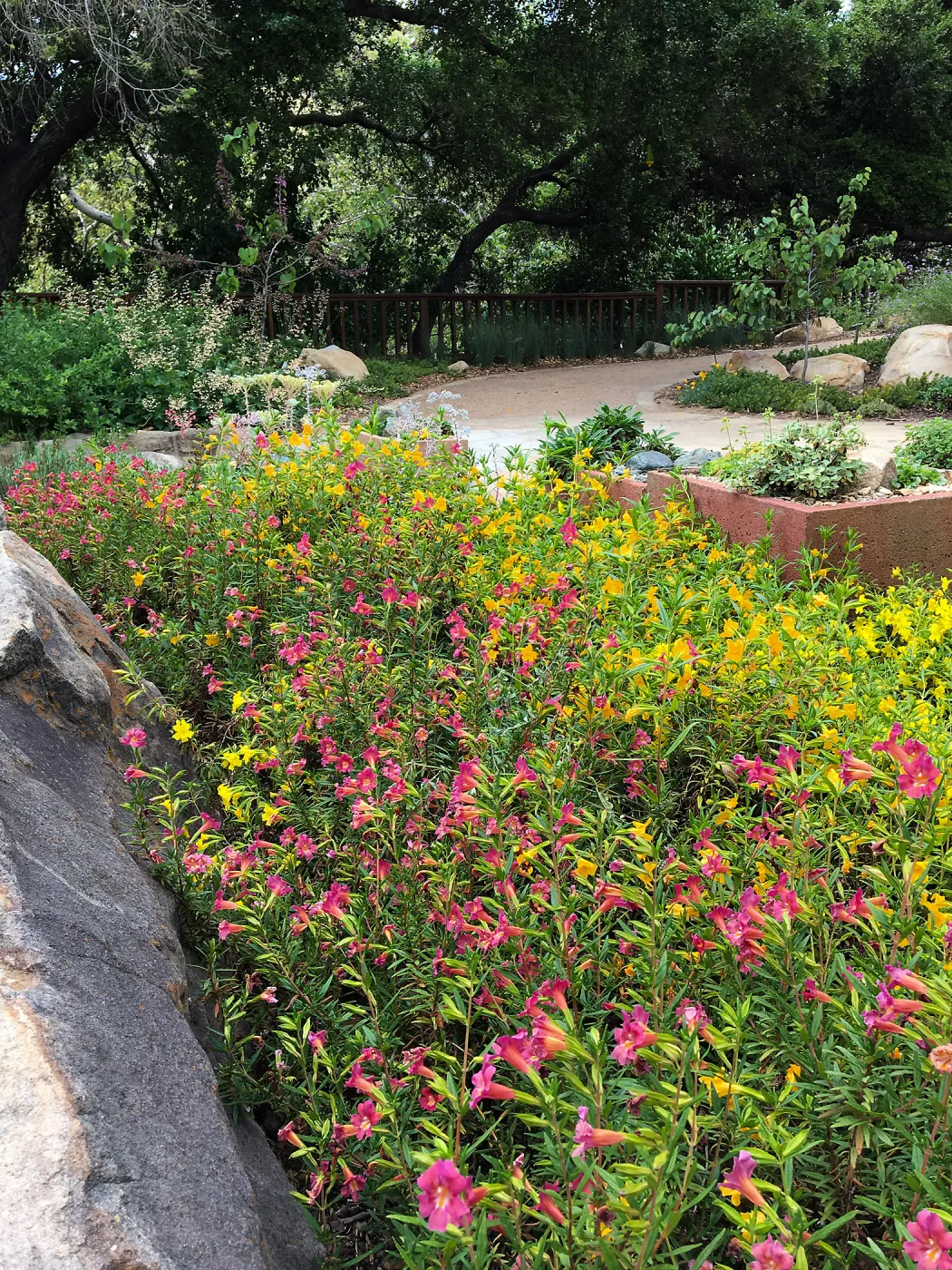 Water Wise Home Garden