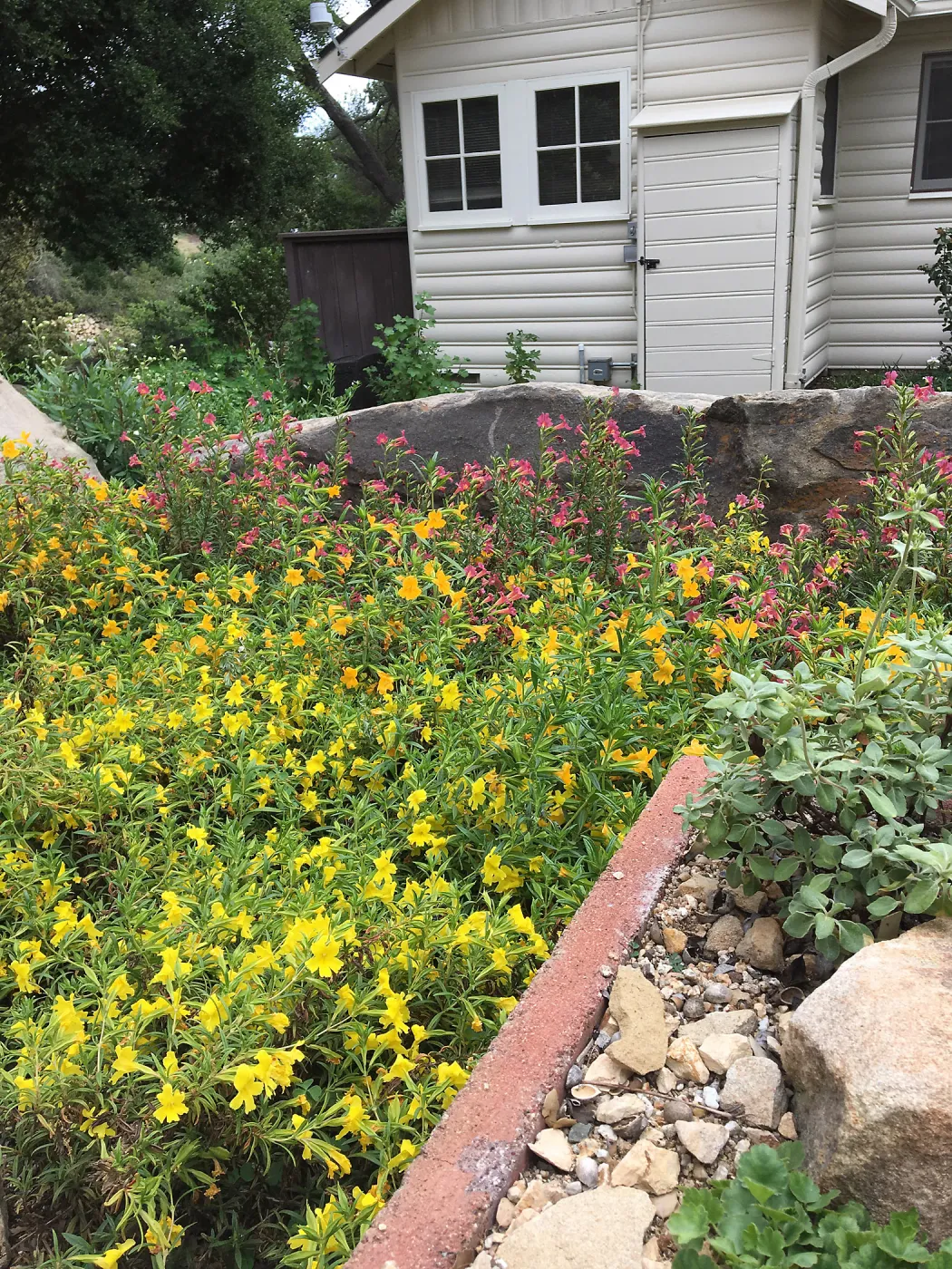 Water Wise Home Garden