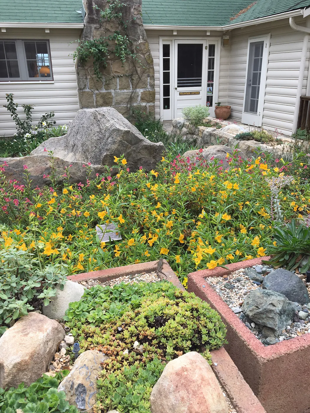 Water Wise Home Garden