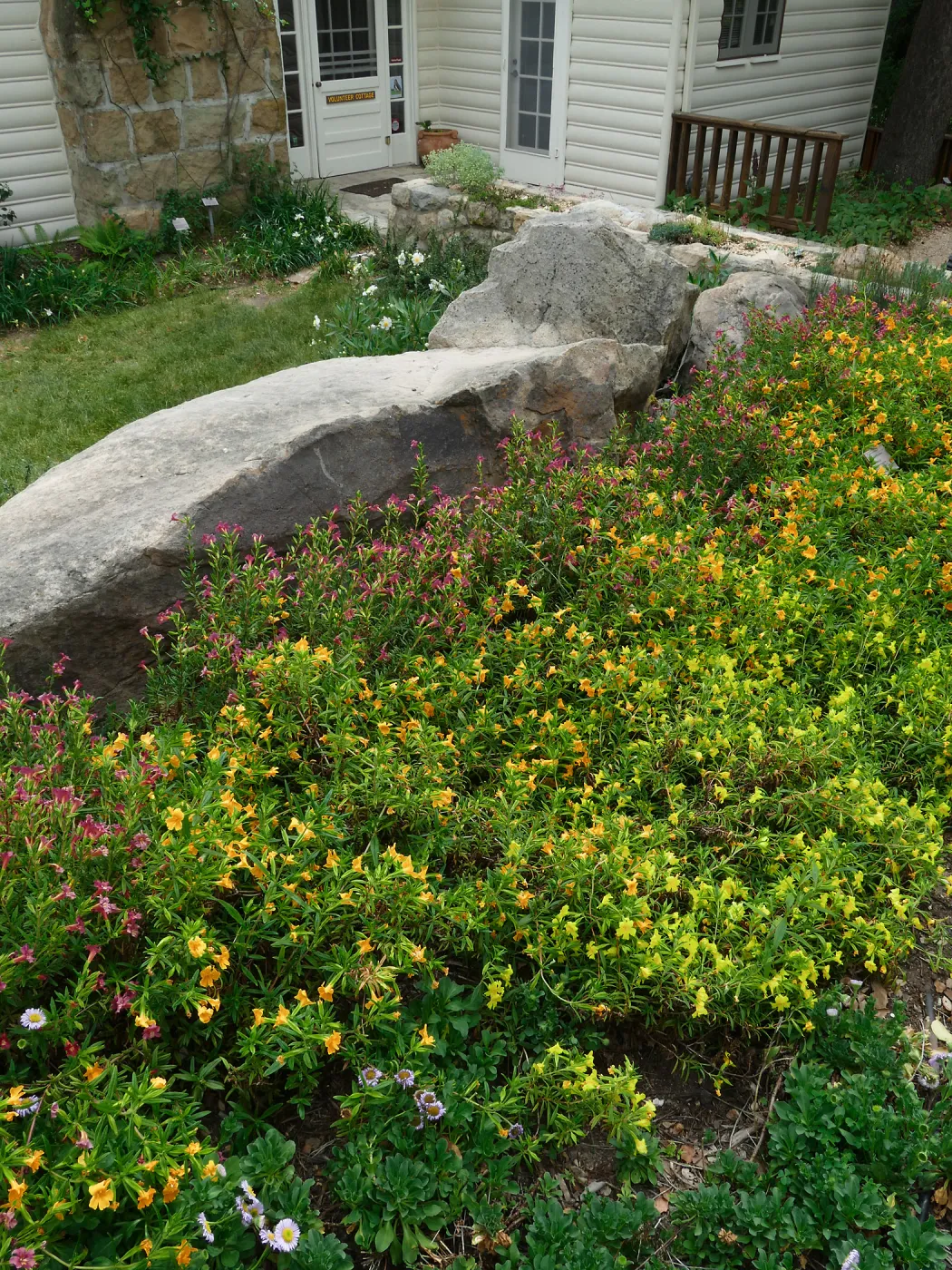 Water Wise Home Garden