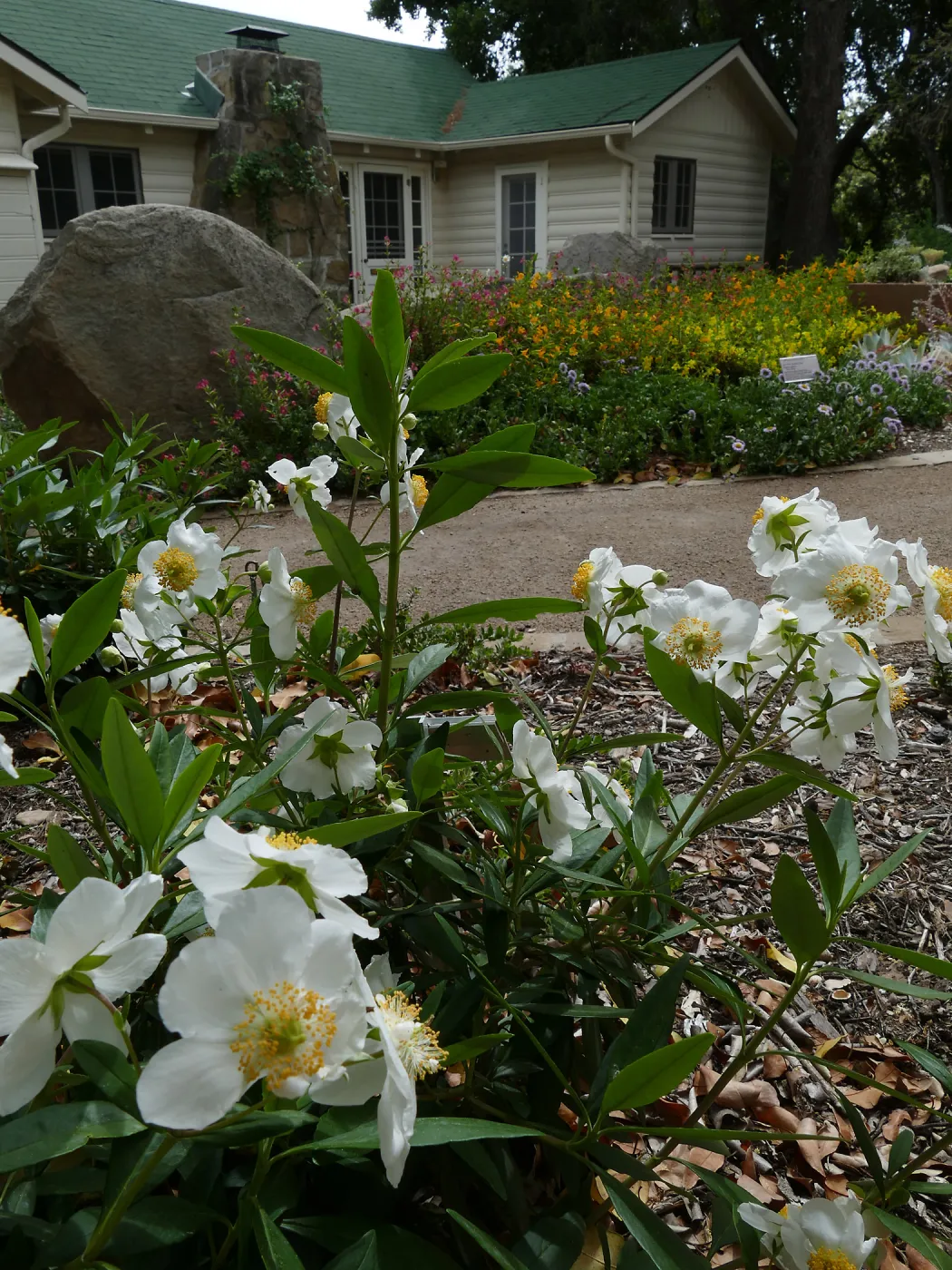 Water Wise Home Garden