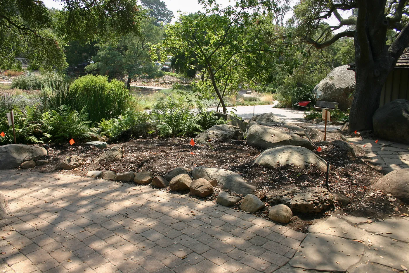 Native California Orchid Display Construction