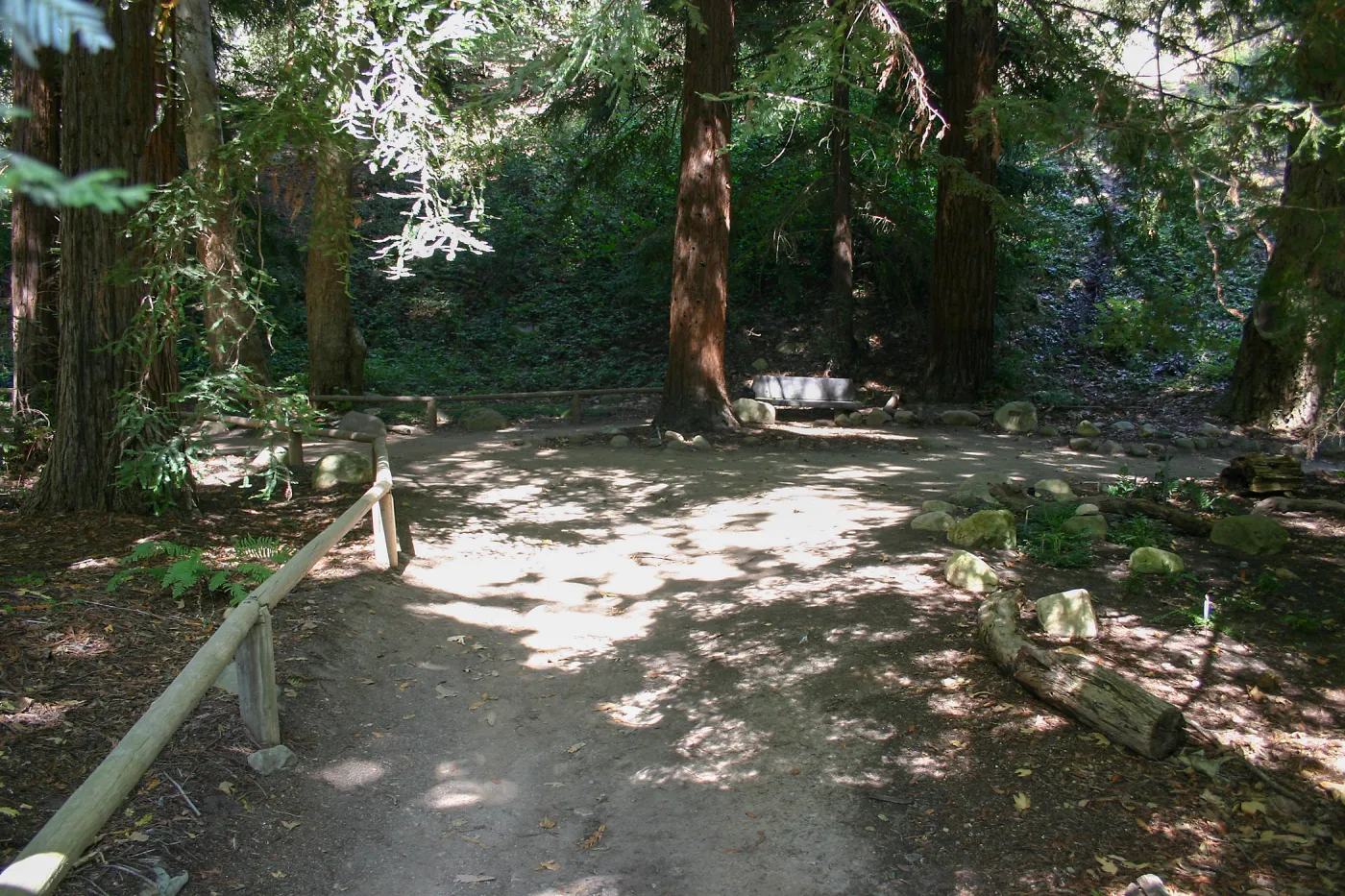 Redwood Section