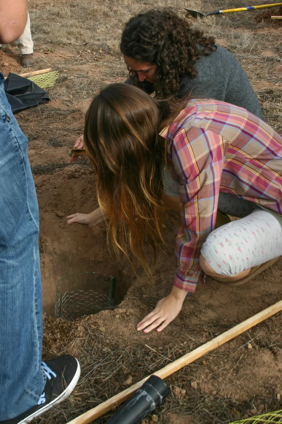 Torrey Pines for Tomorrow Restoration Project Dedication