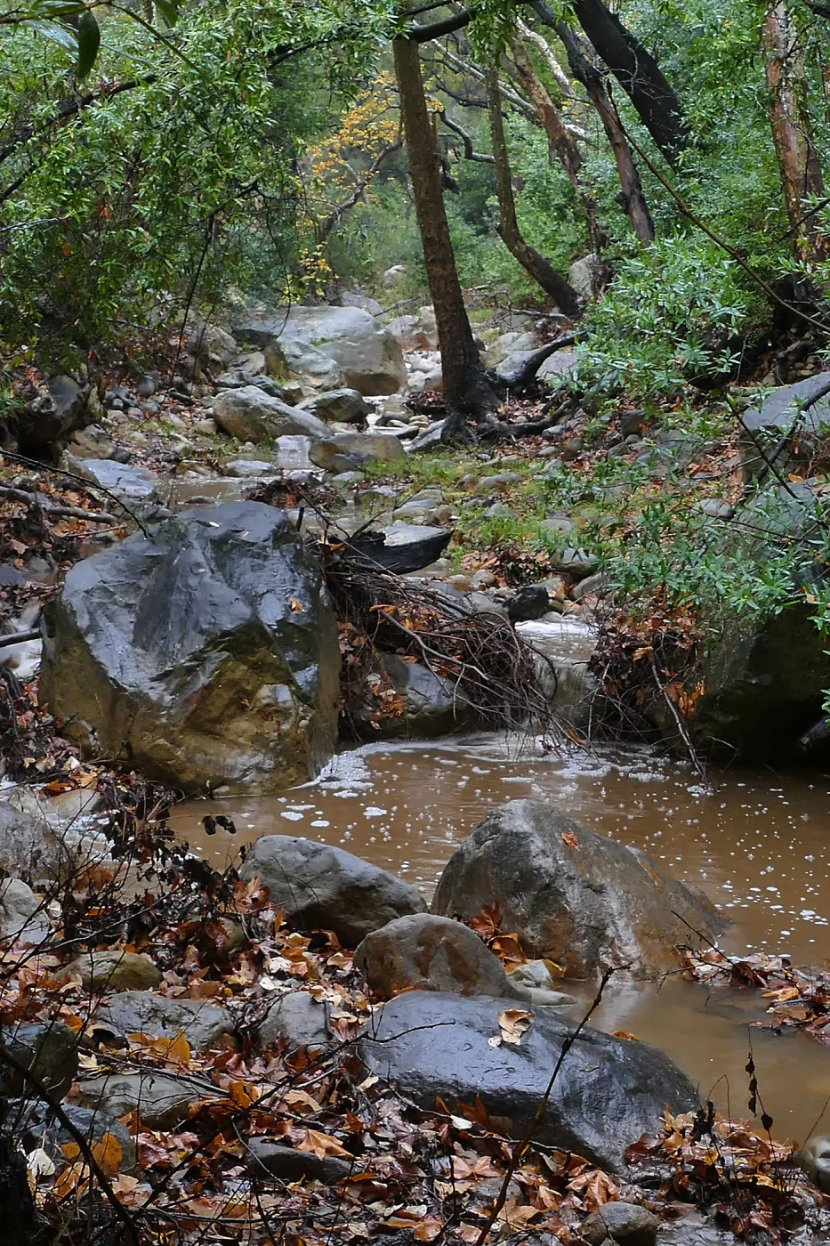 Mission Creek at lower crossing during rainstorm