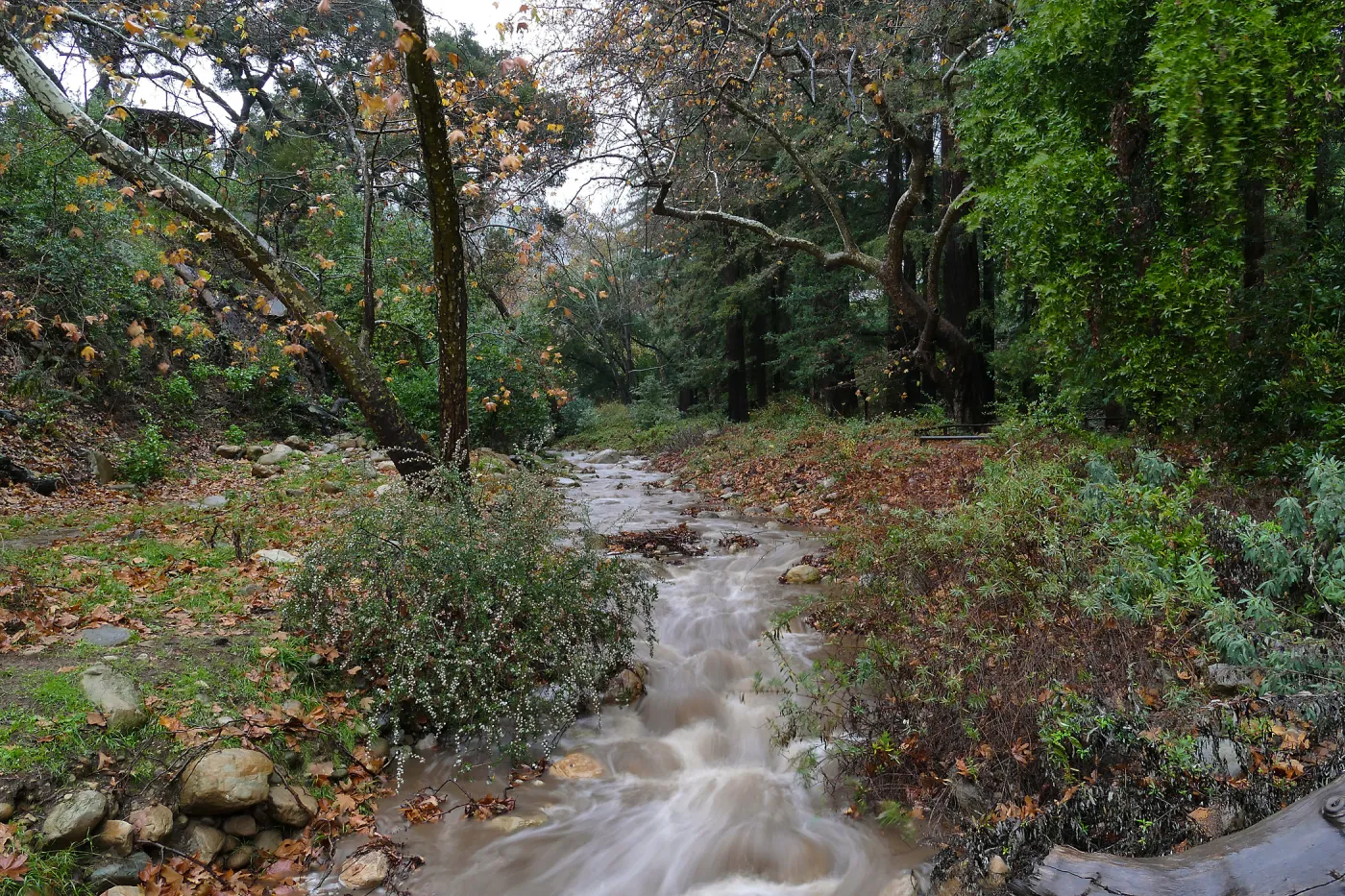 Mission Creek above Mission Dam during rainstorm