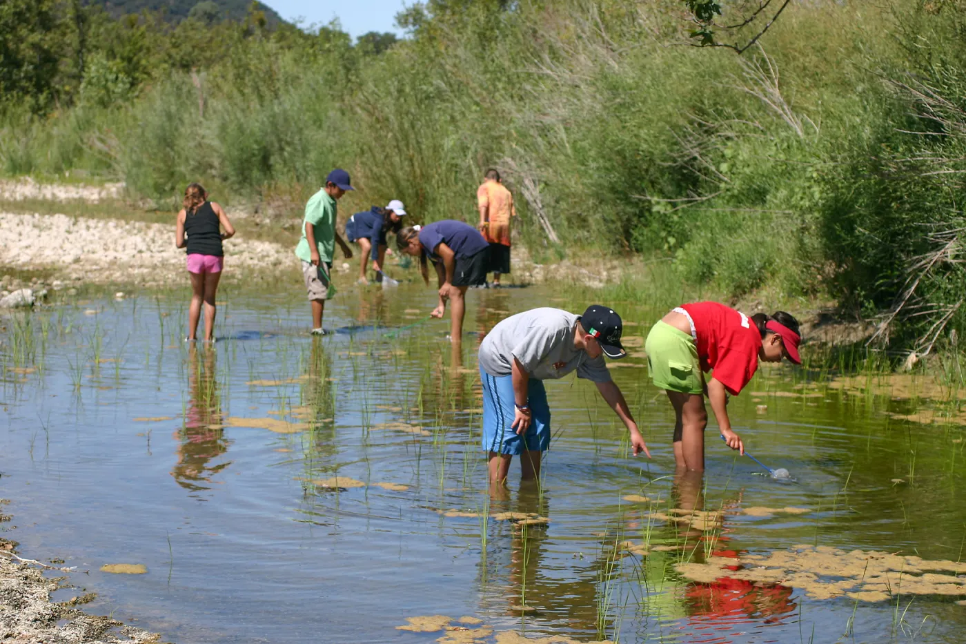FamCamp 2005, Finding stream creatures