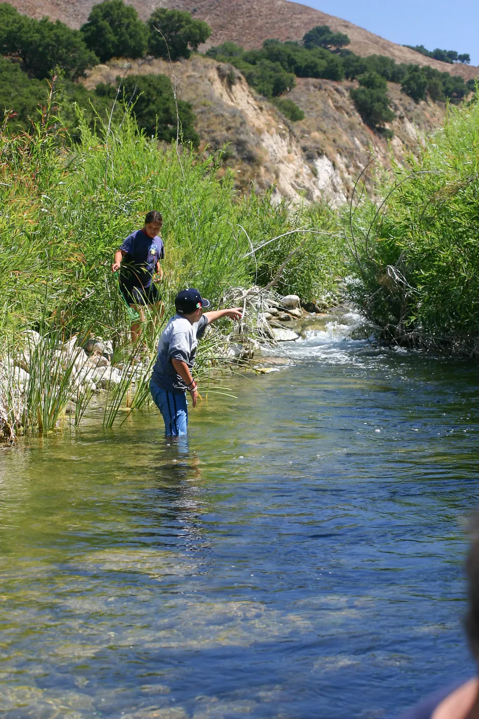 FamCamp 2005, Finding stream creatures