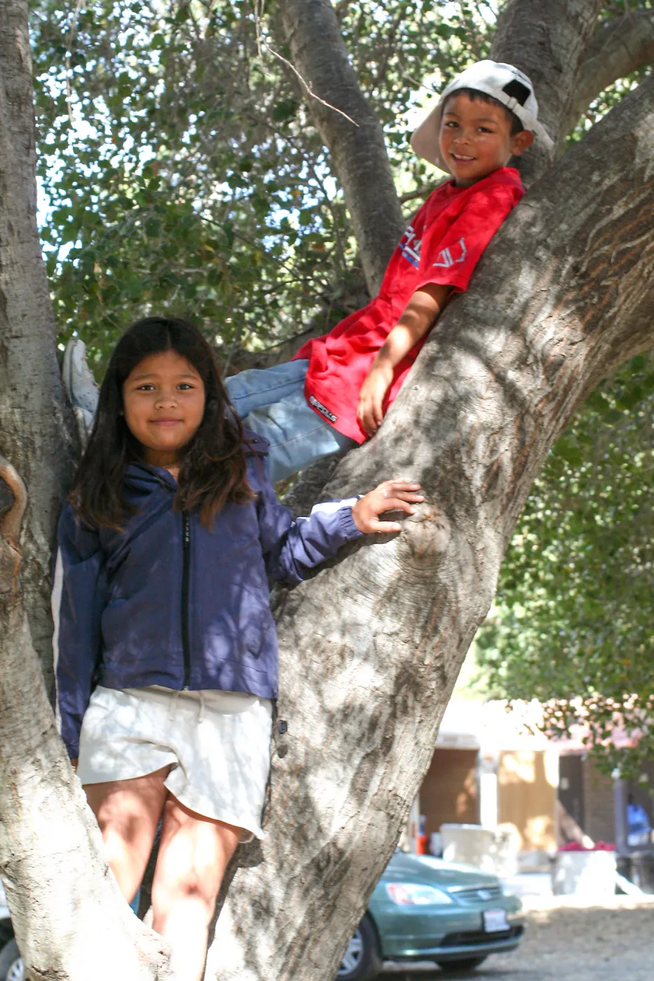 FamCamp 2005, Kids in tree