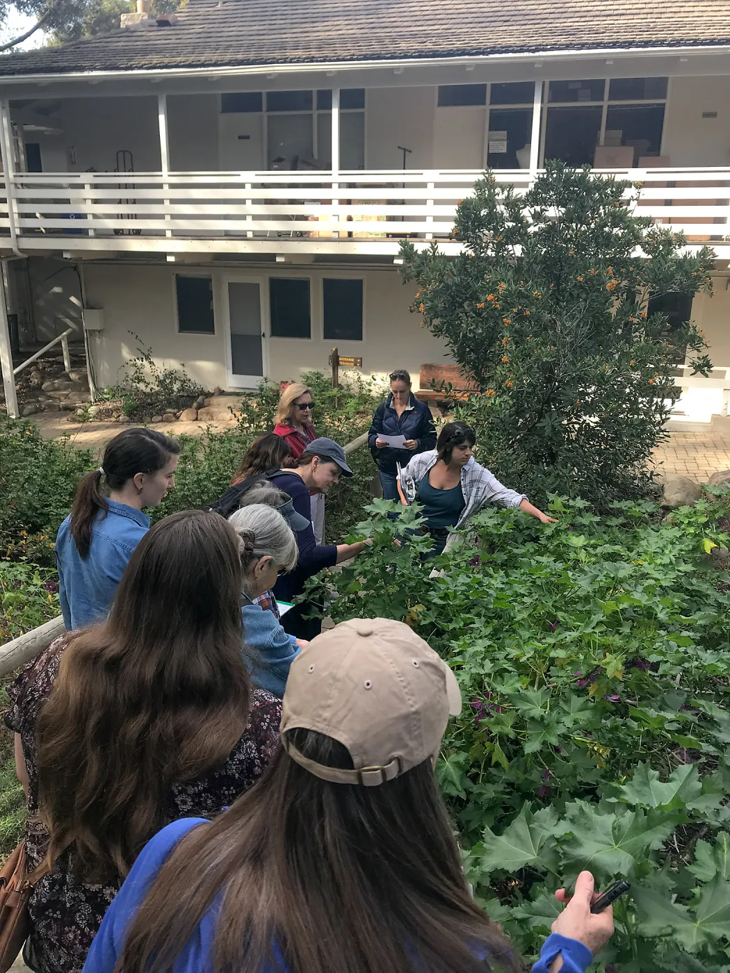 Herbal Medicine Walk: Respiratory System with Emily Sanders
