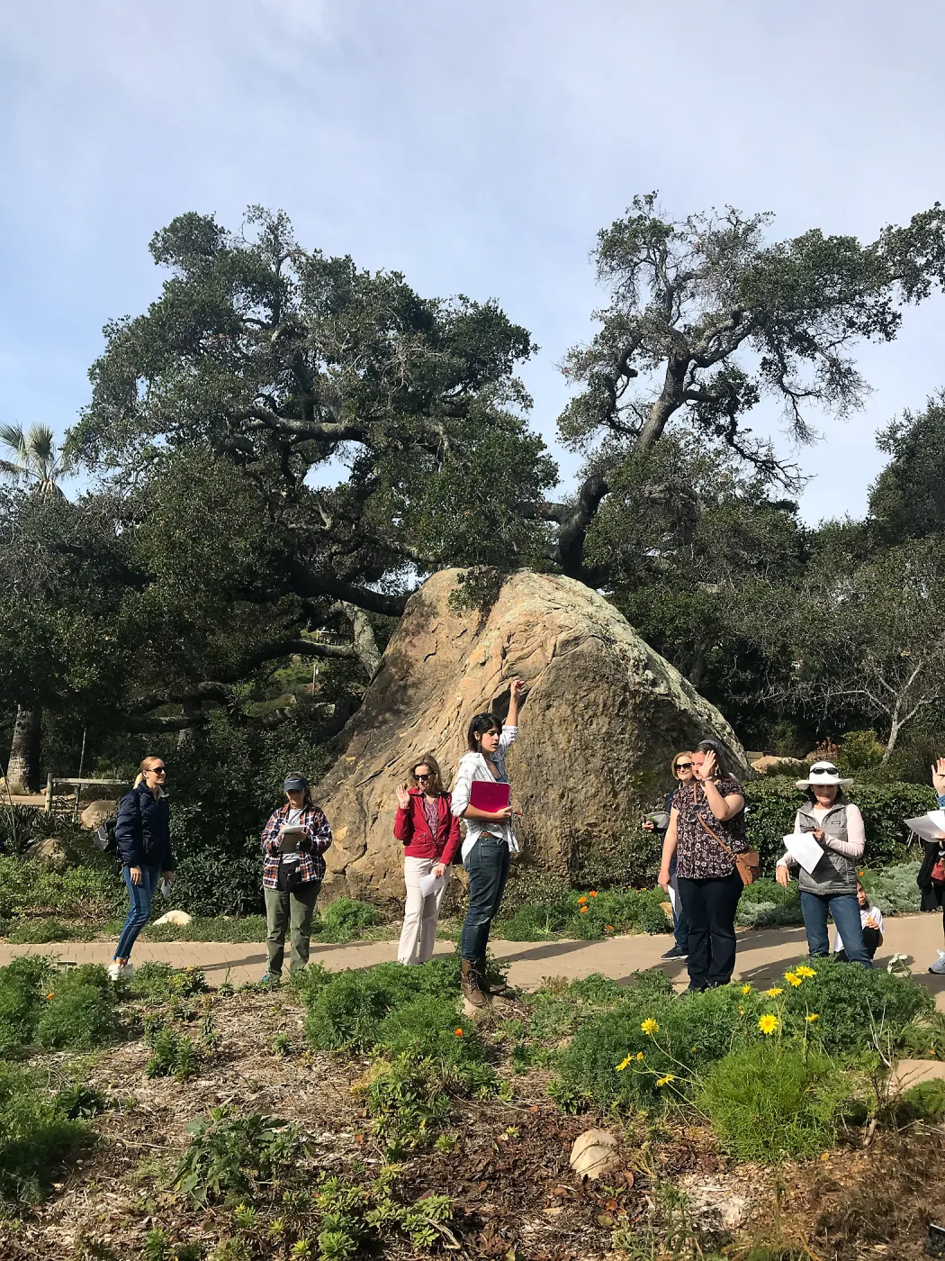 Herbal Medicine Walk: Respiratory System with Emily Sanders