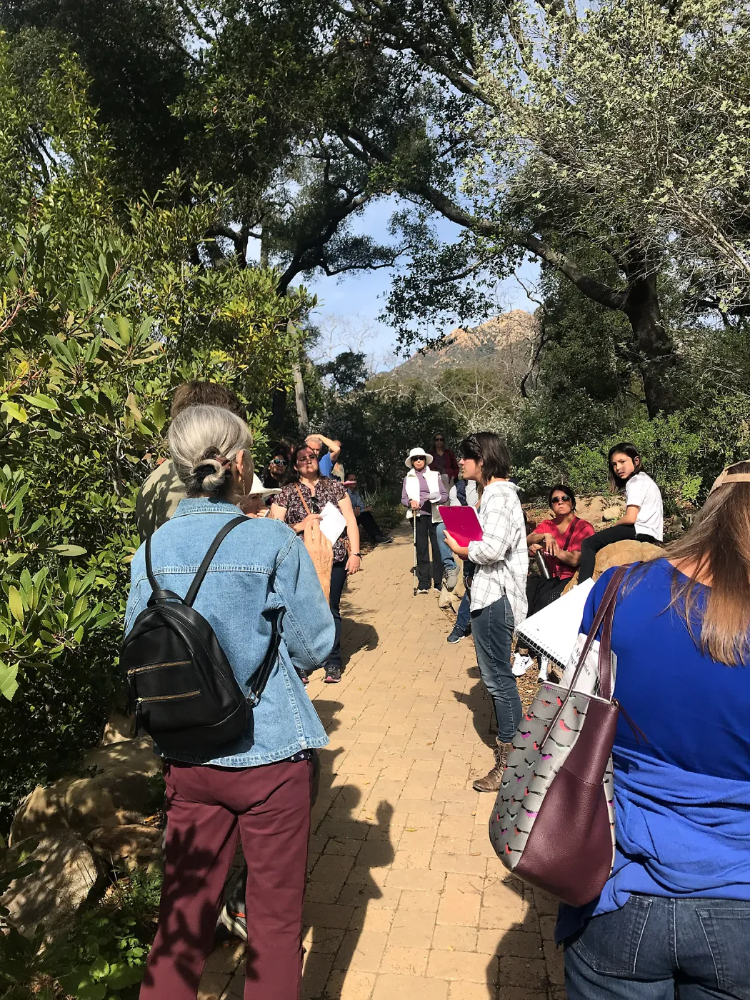 Herbal Medicine Walk: Respiratory System with Emily Sanders