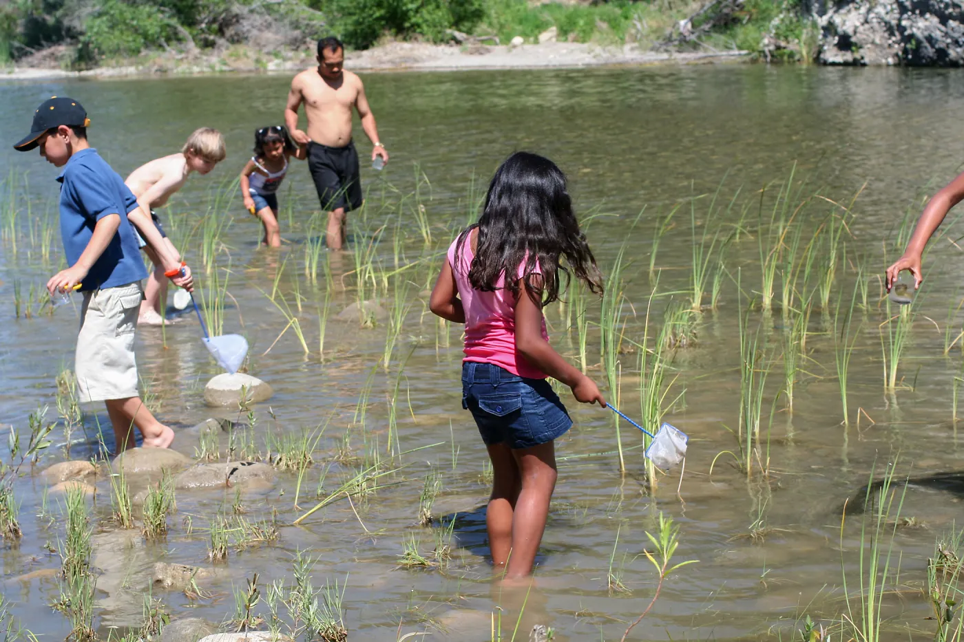 FamCamp 2006, Looking for invertebrates