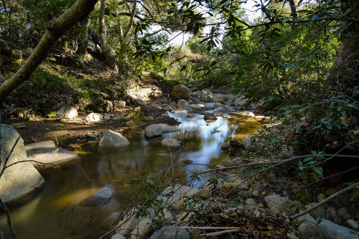 Lower Creek Crossing