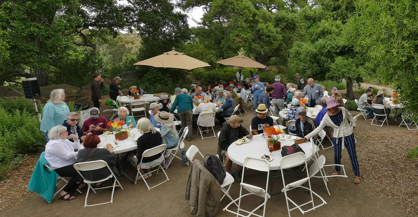 Volunteer Luncheon 2019