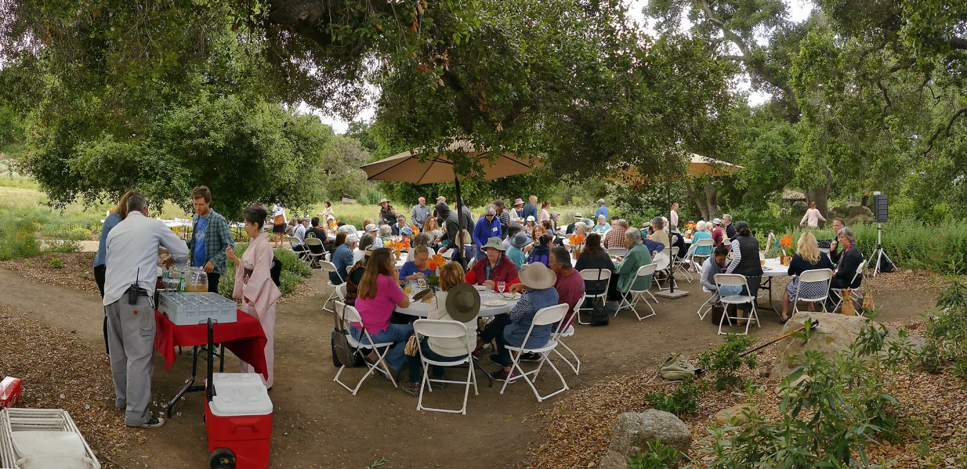 Volunteer Luncheon 2019