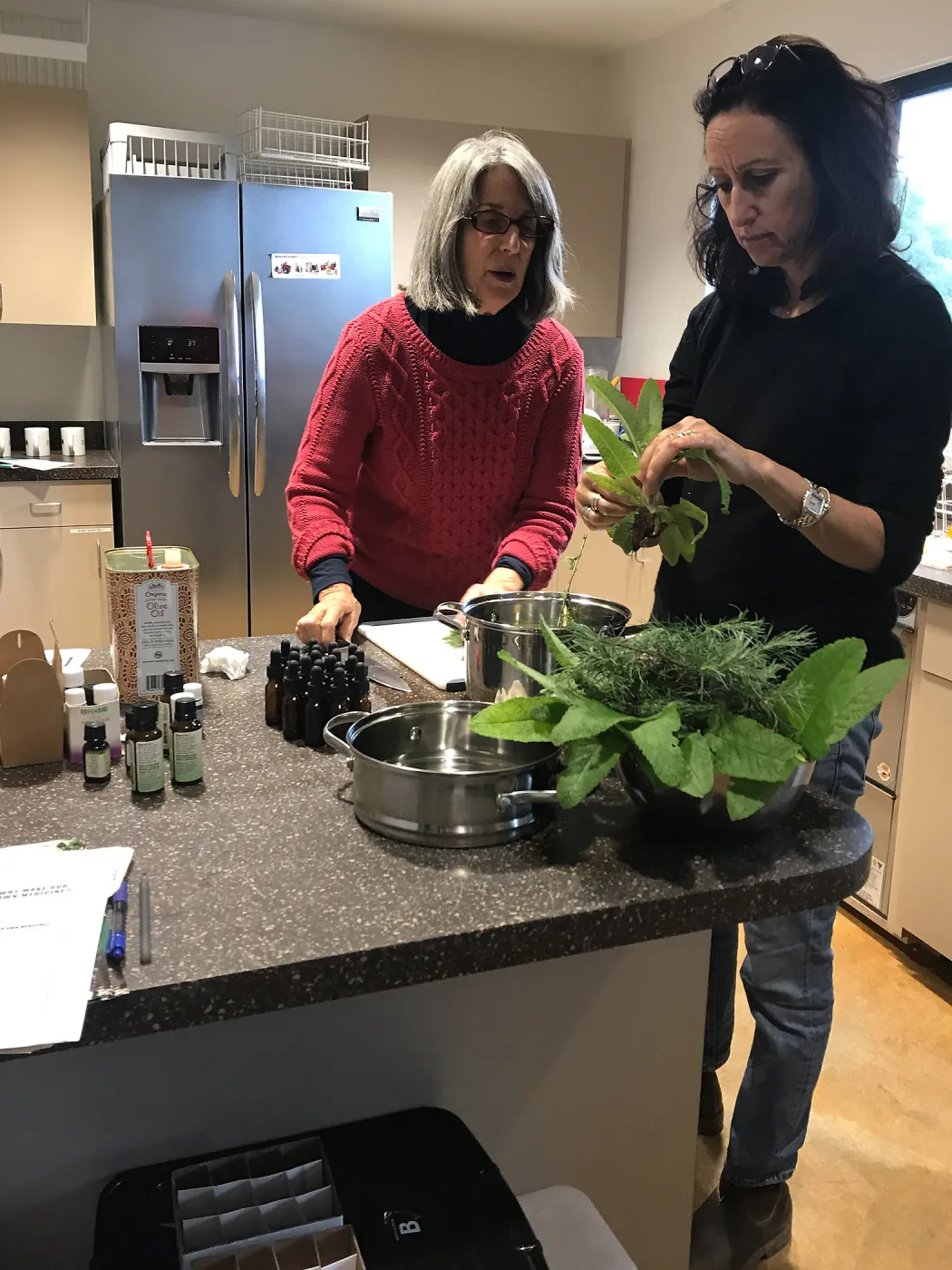 Emily Sanders Winter Wellness Medicine Making Workshop
