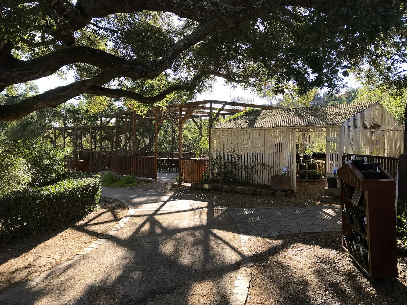 Shadow patterns at the Arbor Terrace