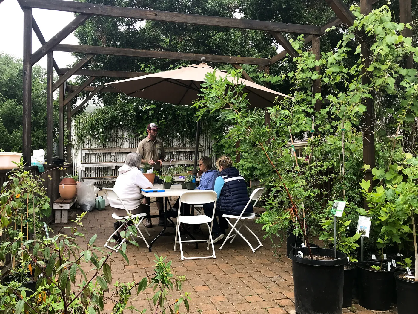 Create Your Own Container Garden taught by Patrick Wiley