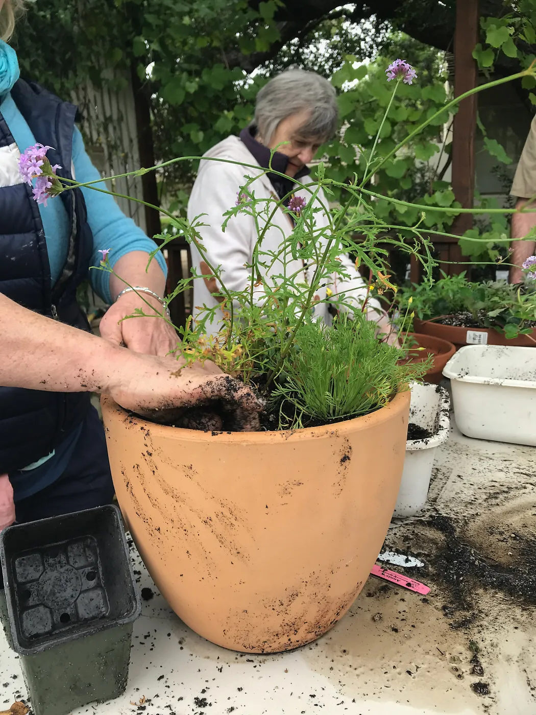 Create Your Own Container Garden taught by Patrick Wiley