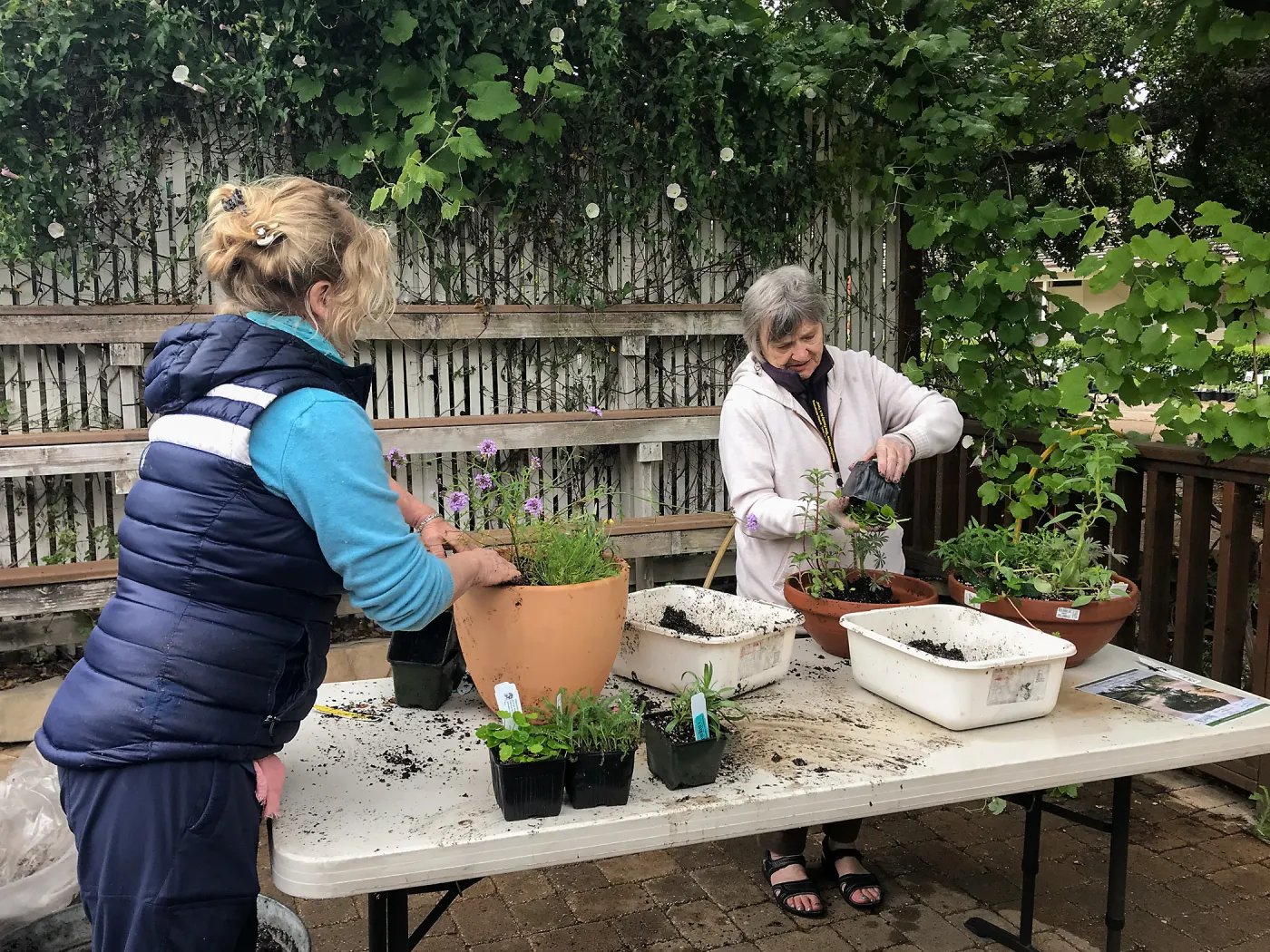 Create Your Own Container Garden taught by Patrick Wiley