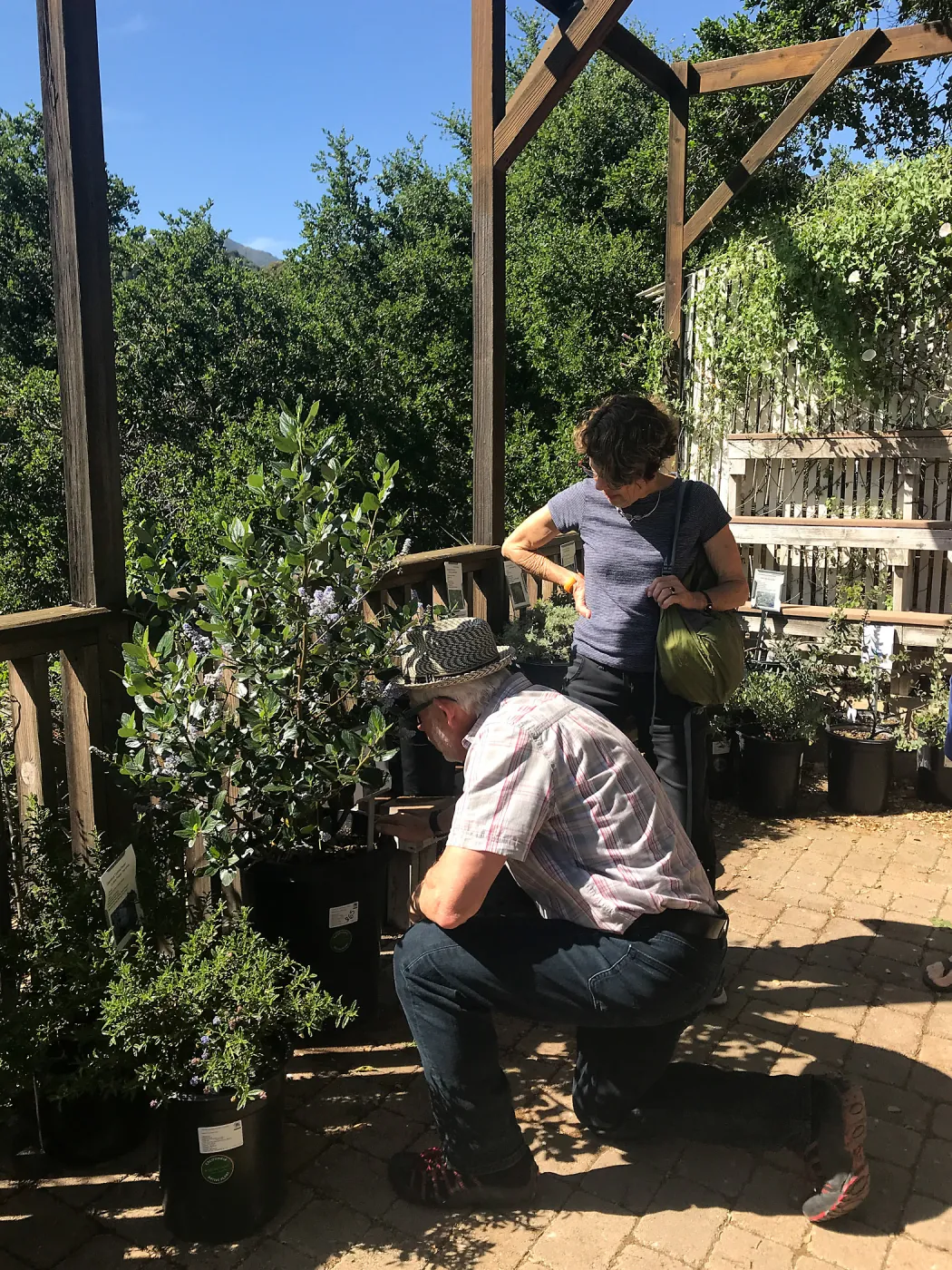 Designing with Water Wise Natives class taught by Billy Goodnick