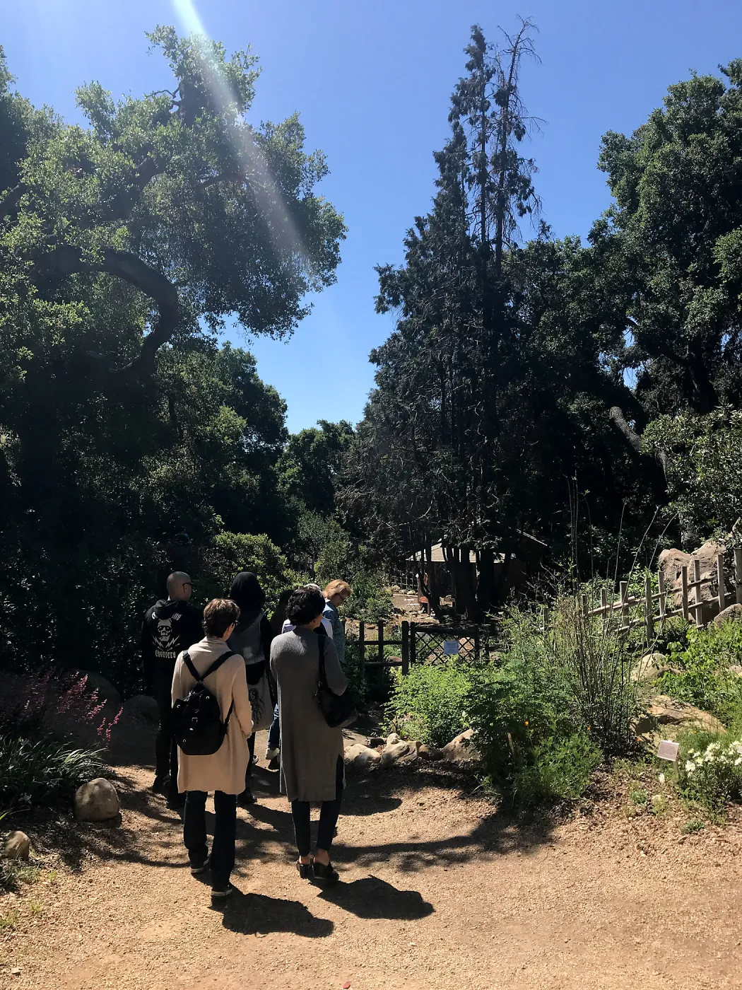 Enjoy Matcha: The Urasenke Way of Tea class taught by Sensei Kyoko Kasai