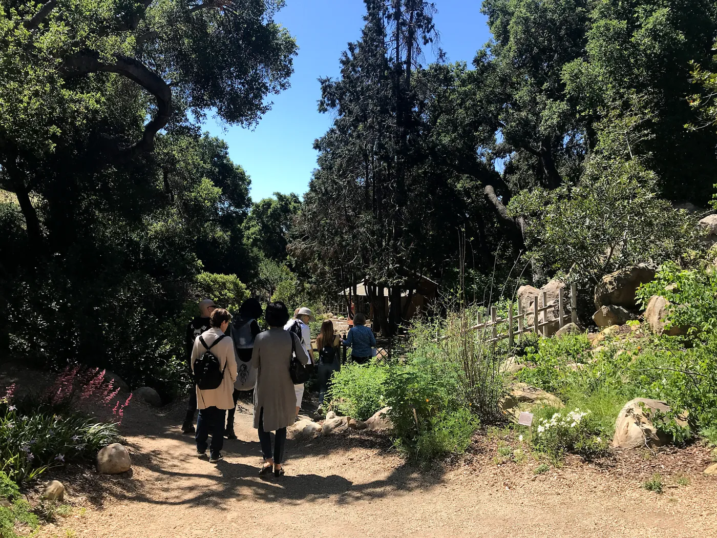 Enjoy Matcha: The Urasenke Way of Tea class taught by Sensei Kyoko Kasai