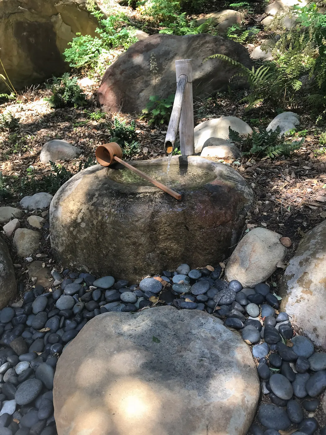 Enjoy Matcha: The Urasenke Way of Tea class taught by Sensei Kyoko Kasai