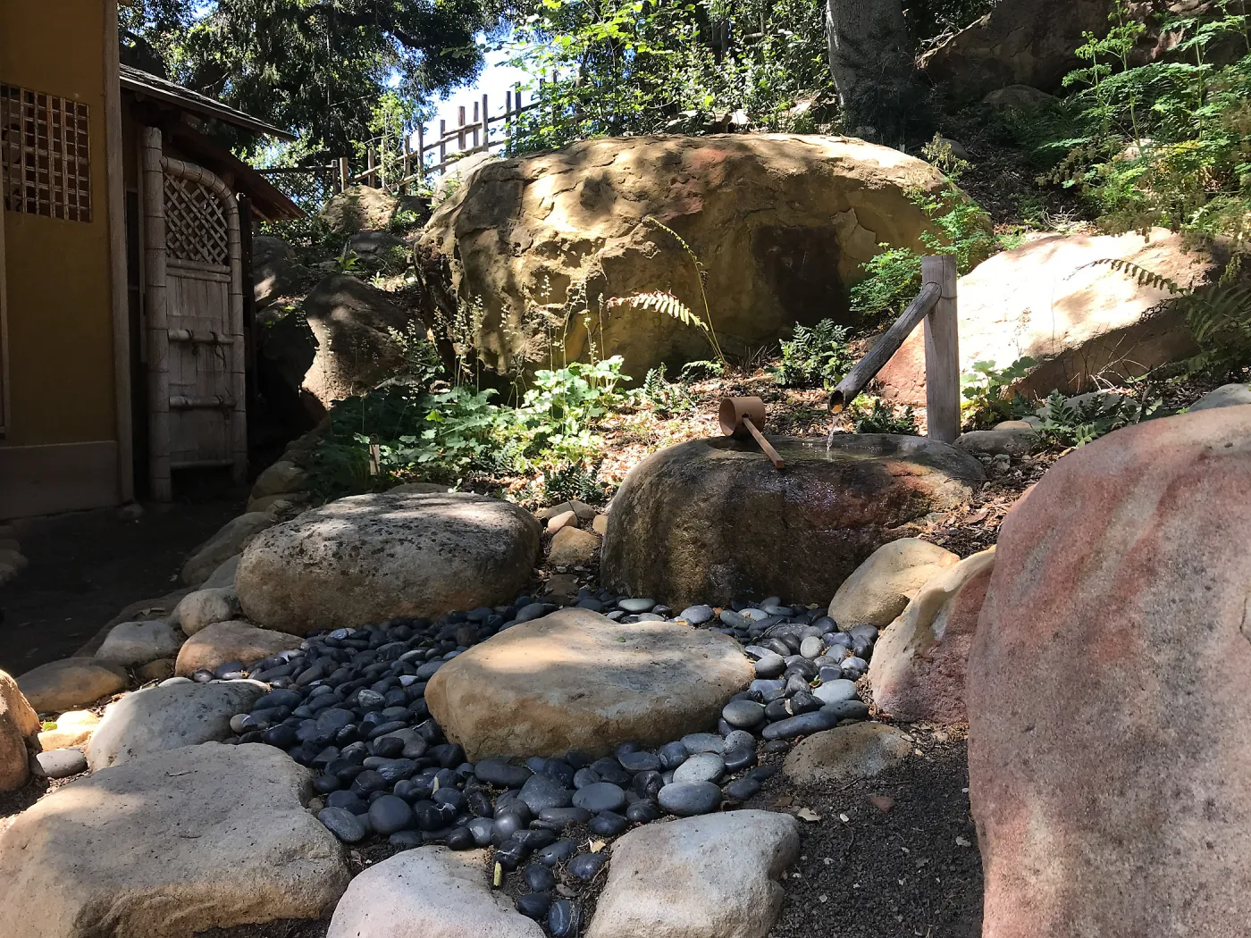 Enjoy Matcha: The Urasenke Way of Tea class taught by Sensei Kyoko Kasai