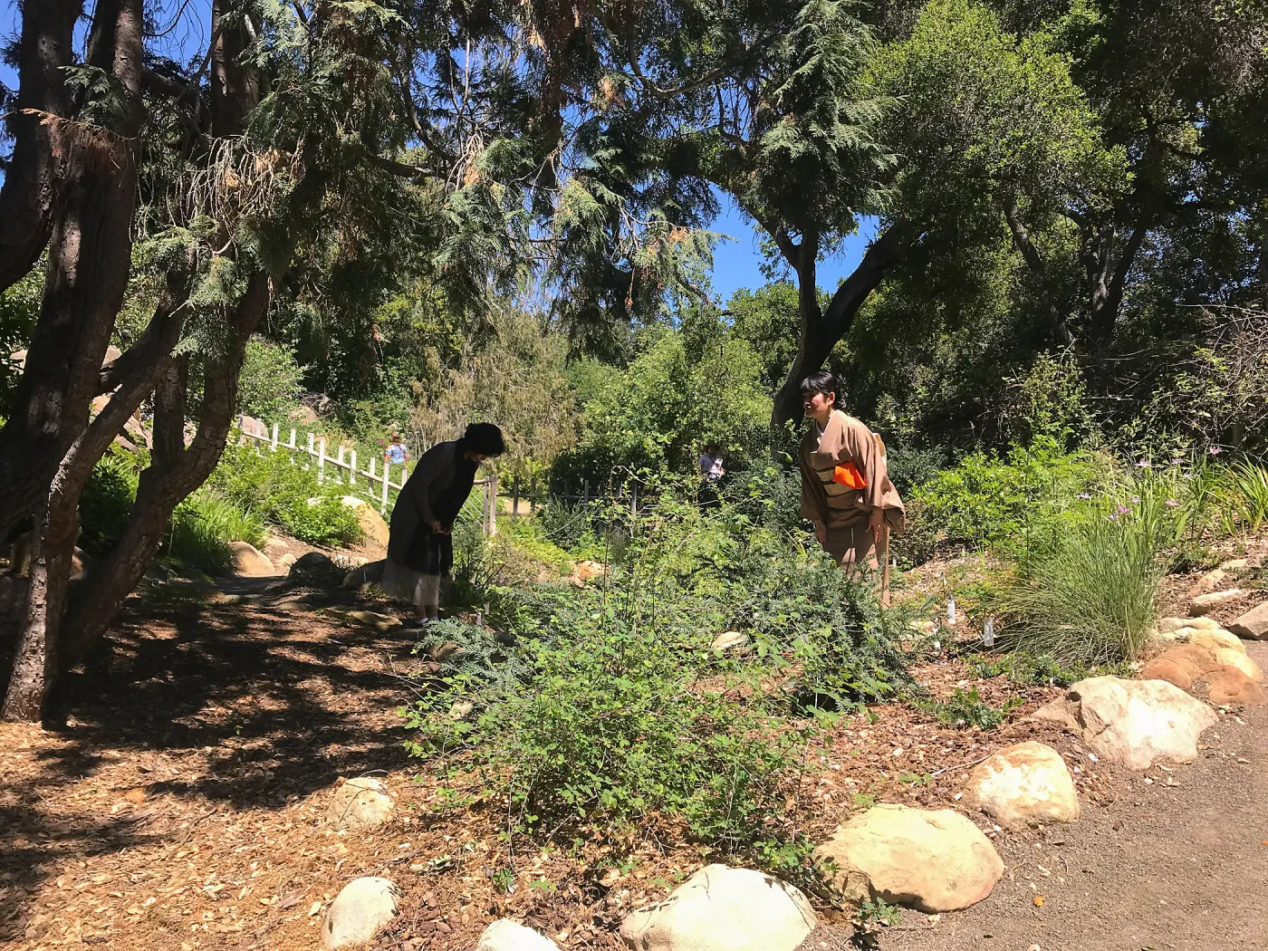 Enjoy Matcha: The Urasenke Way of Tea class taught by Sensei Kyoko Kasai