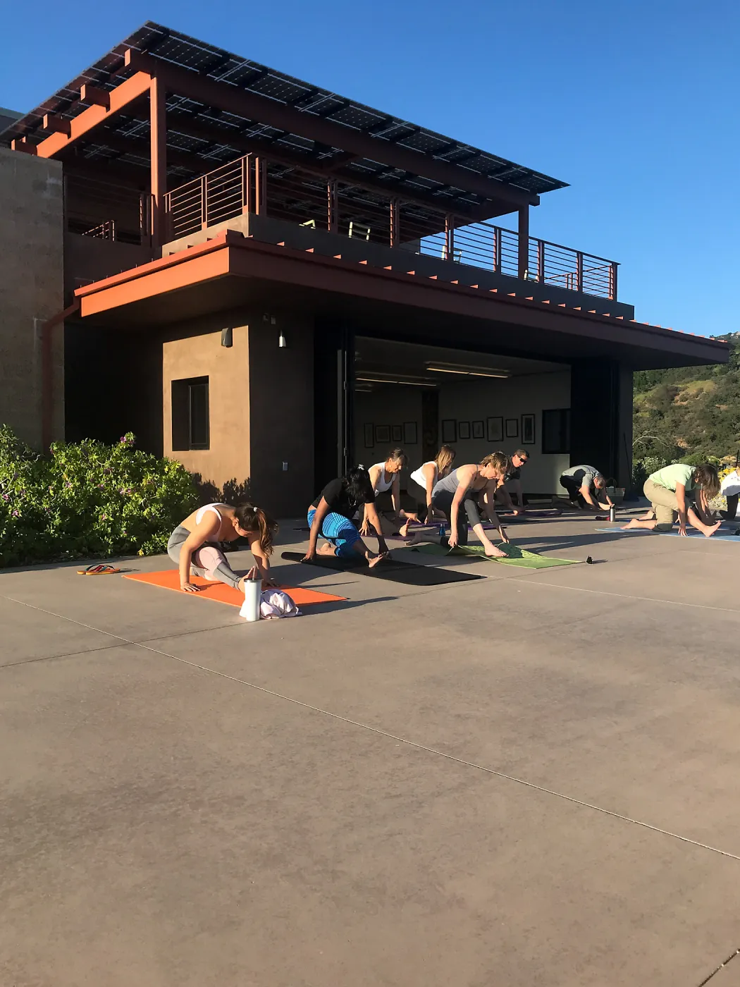 Yoga in the Garden class taught by Michelle Rousseau