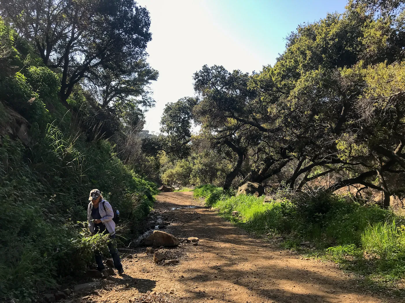 Romero Canyon day trip with Natalie Love