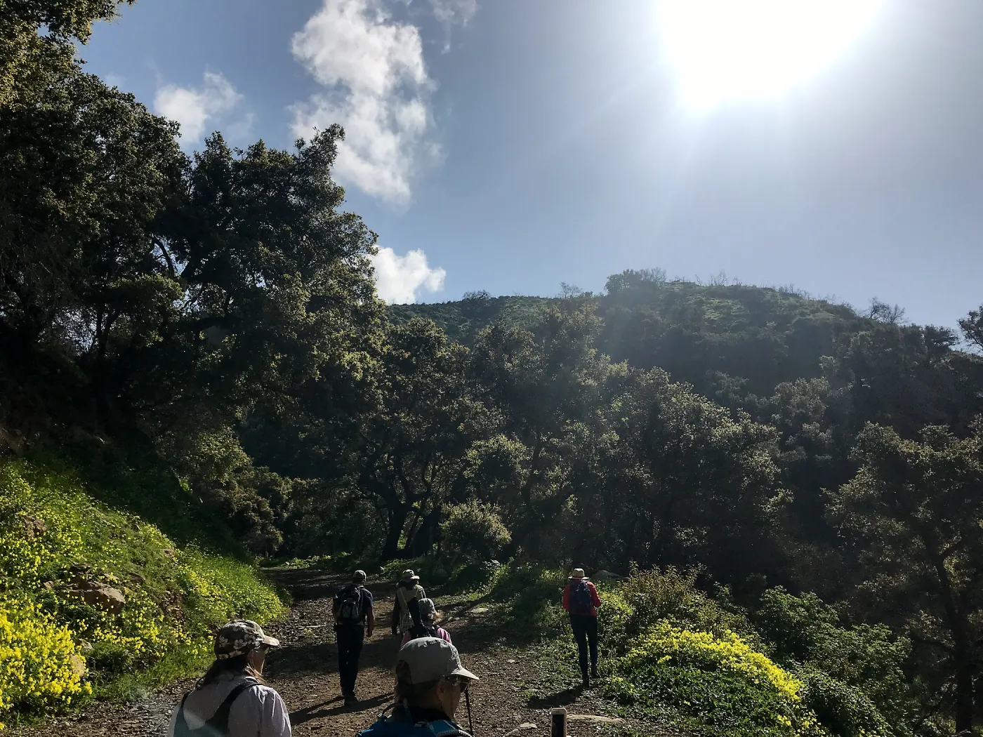 Romero Canyon day trip with Natalie Love