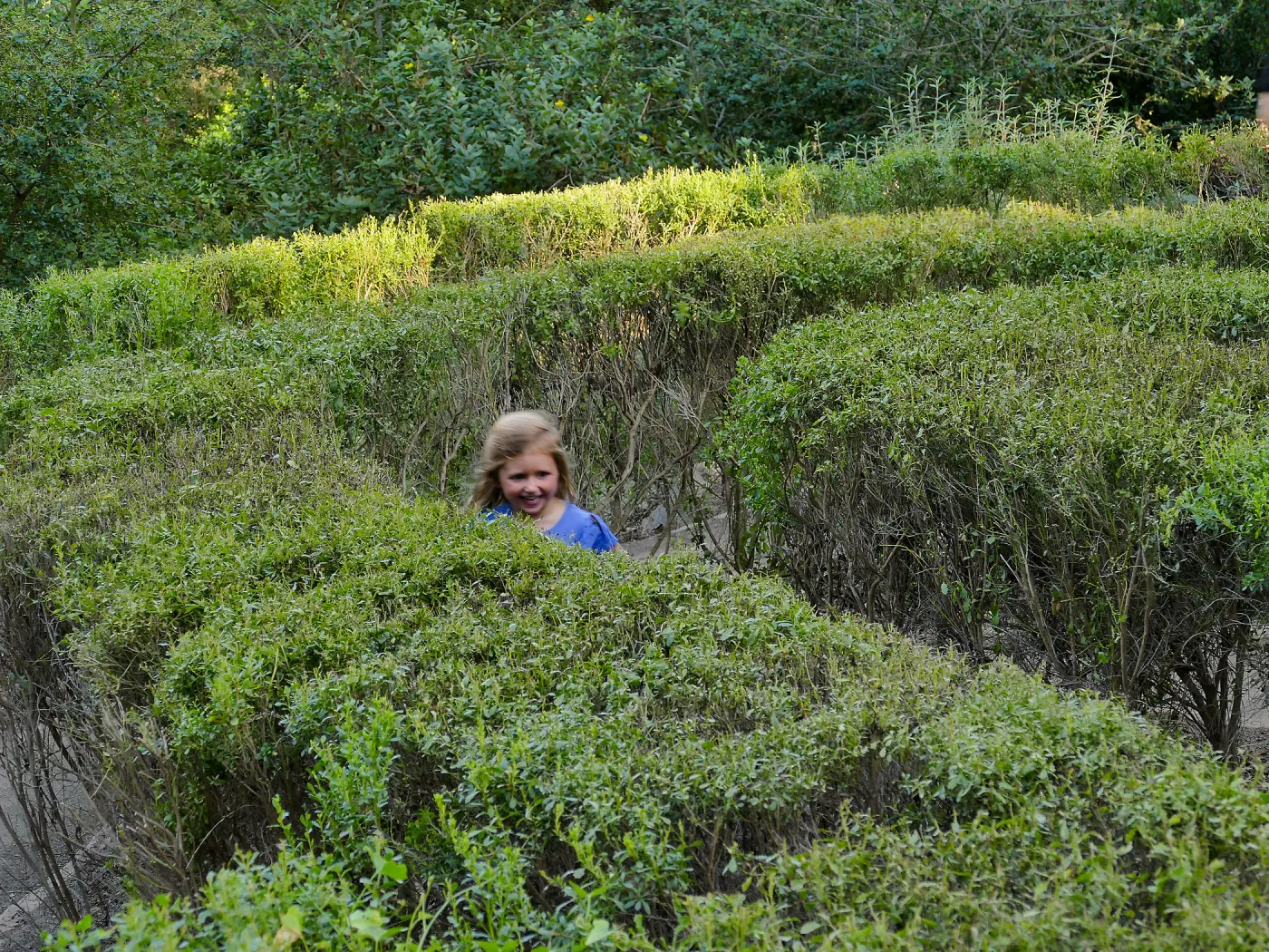 Child running through the Centennial Maze