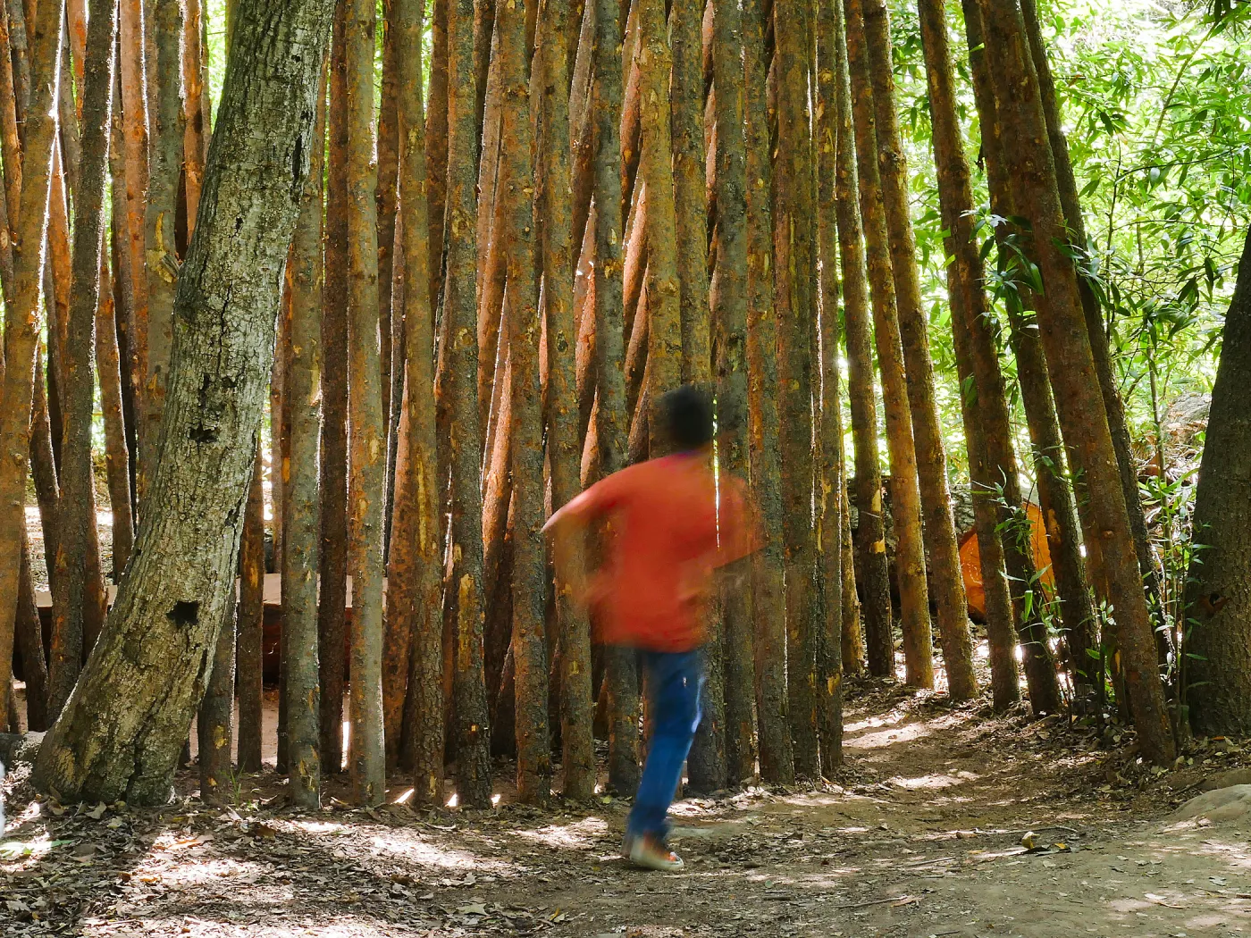 Children from the Santa Barbara Unified School District Expanded Learning Center at the Understory casita