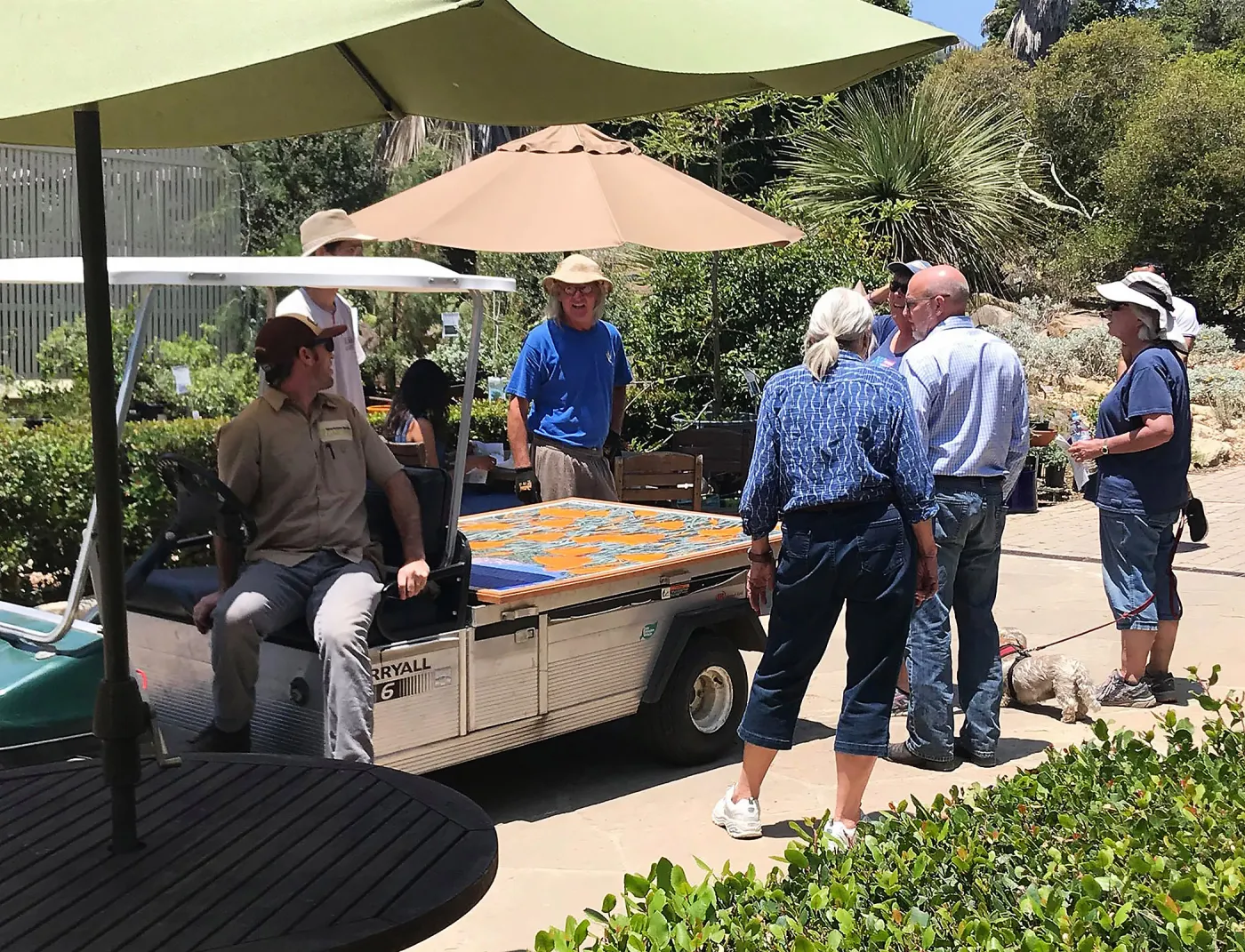 Installation of â€œAfter the Rainsâ€ mosaic by Patti Jacquemain