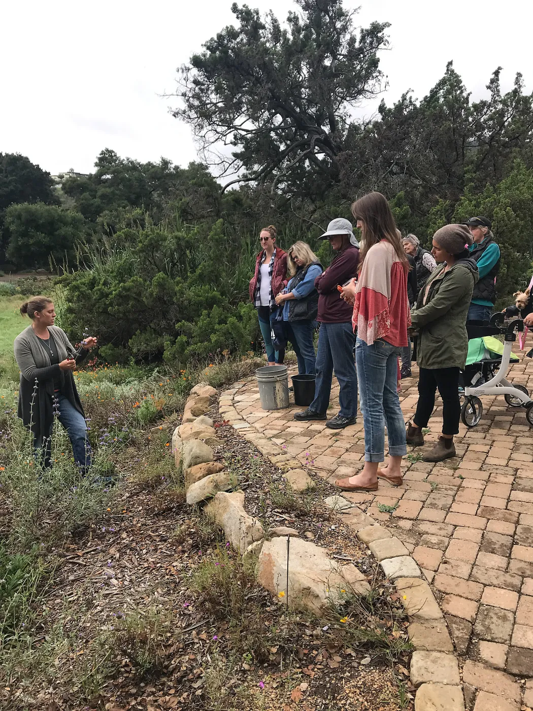 Bring the Wild Inside; Floral Design With California Native Plants