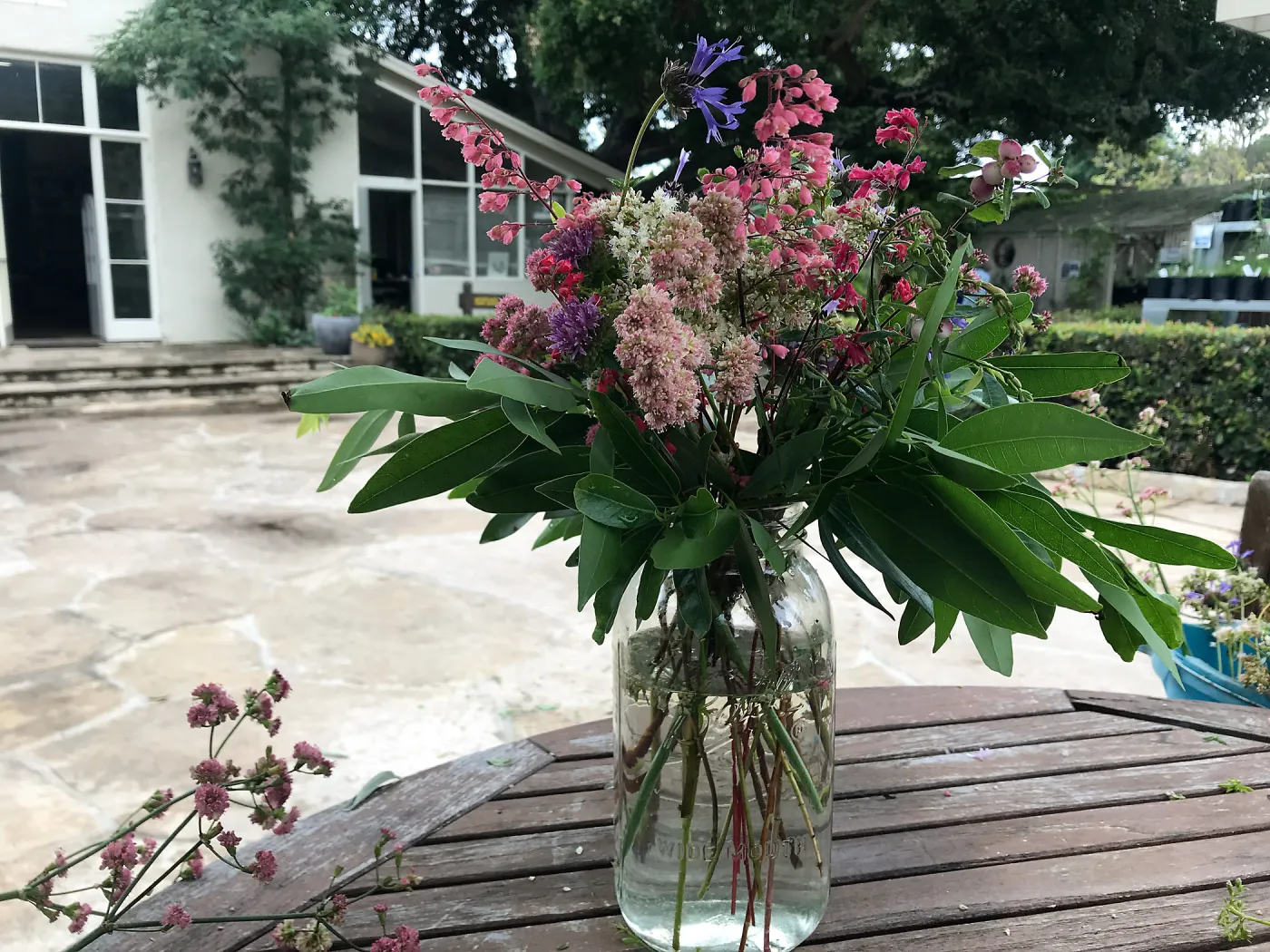 Arrangement from Bring the Wild Inside; Floral Design With California Native Plants