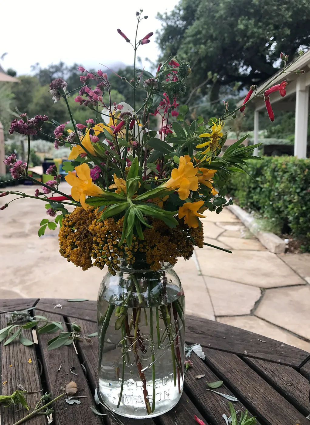 Arrangement from Bring the Wild Inside; Floral Design With California Native Plants