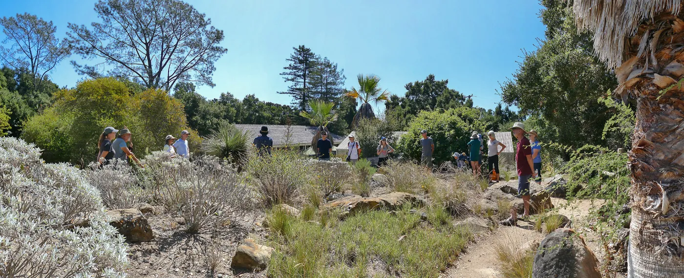 Climate walk in support of the Global Climate Strike