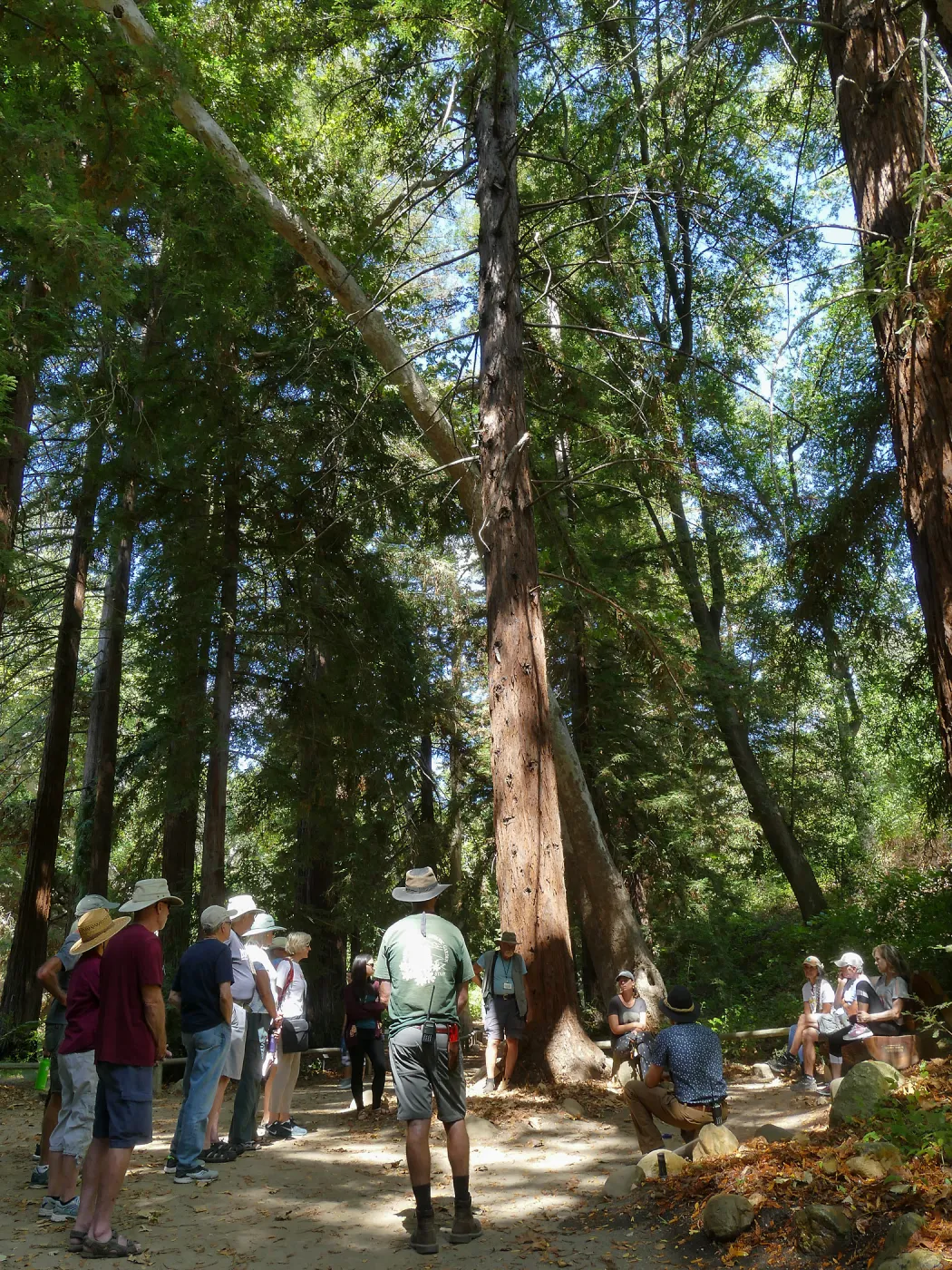 Climate walk in support of the Global Climate Strike