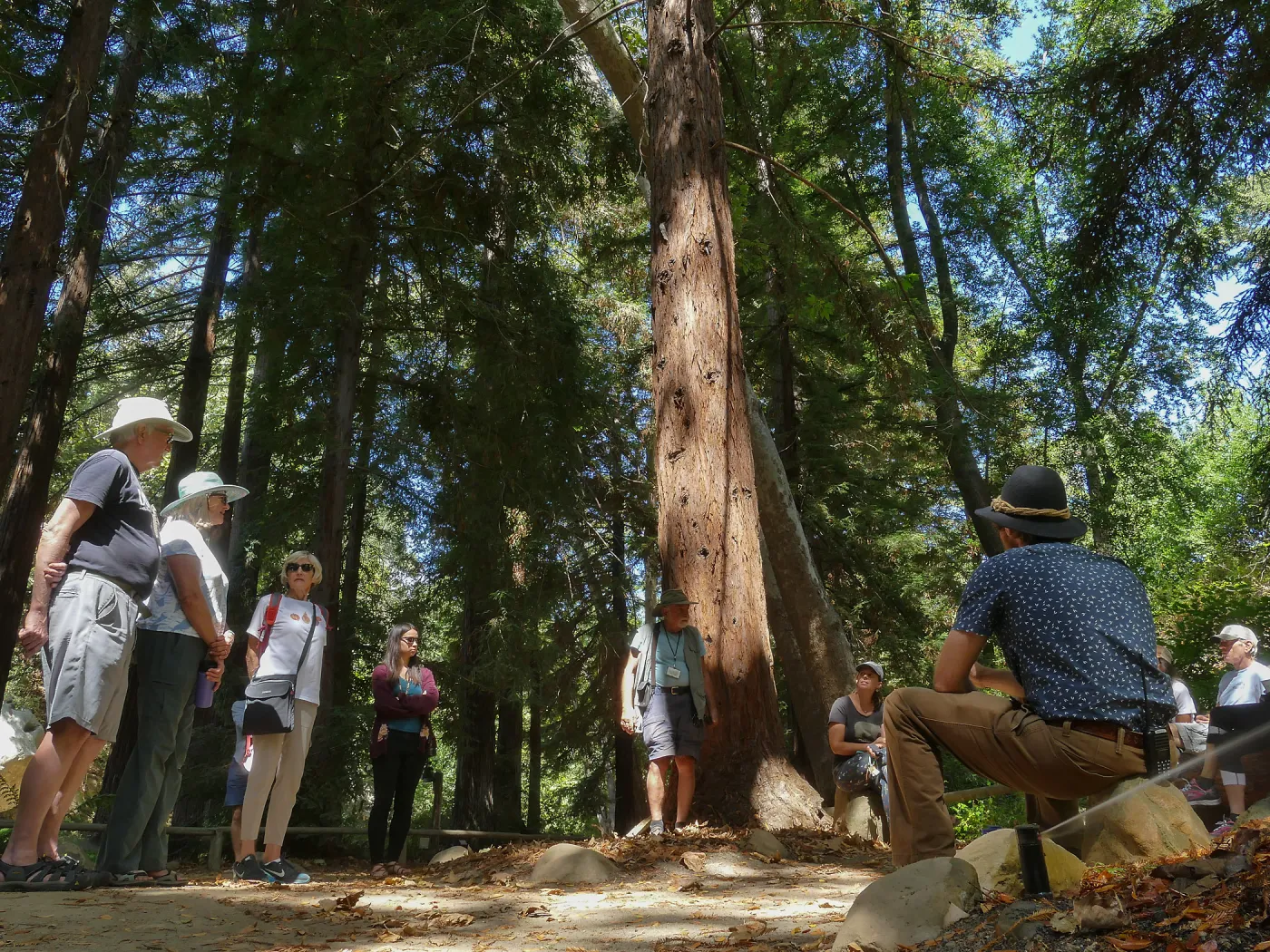 Climate walk in support of the Global Climate Strike